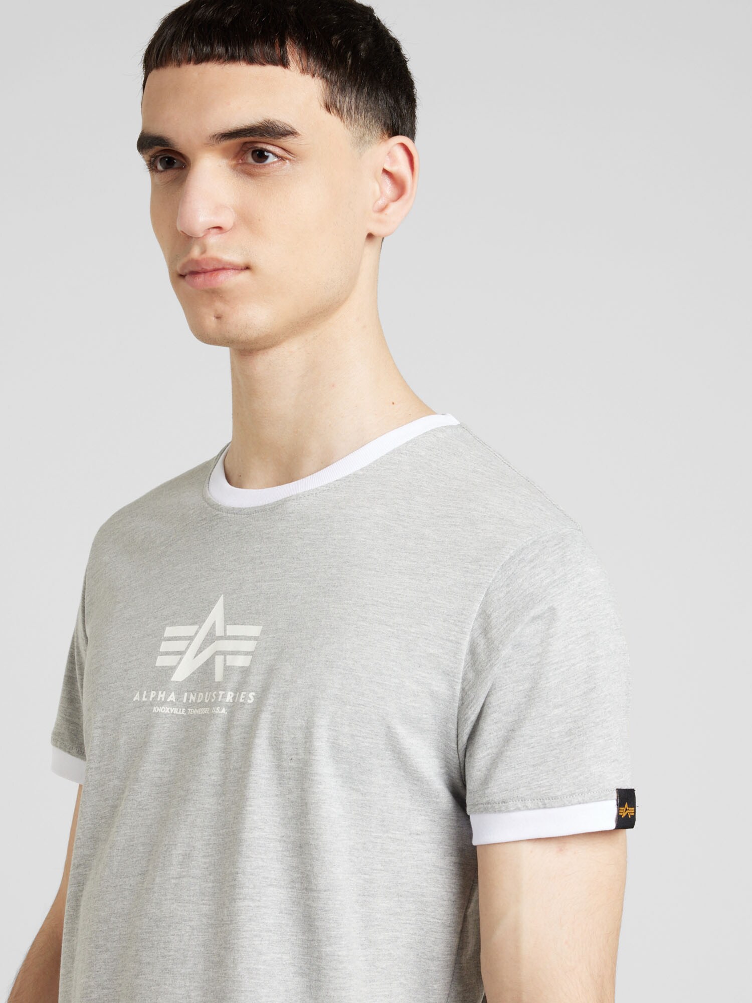 ALPHA INDUSTRIES Tričko béžová / sivá / biela (obrázok 3)