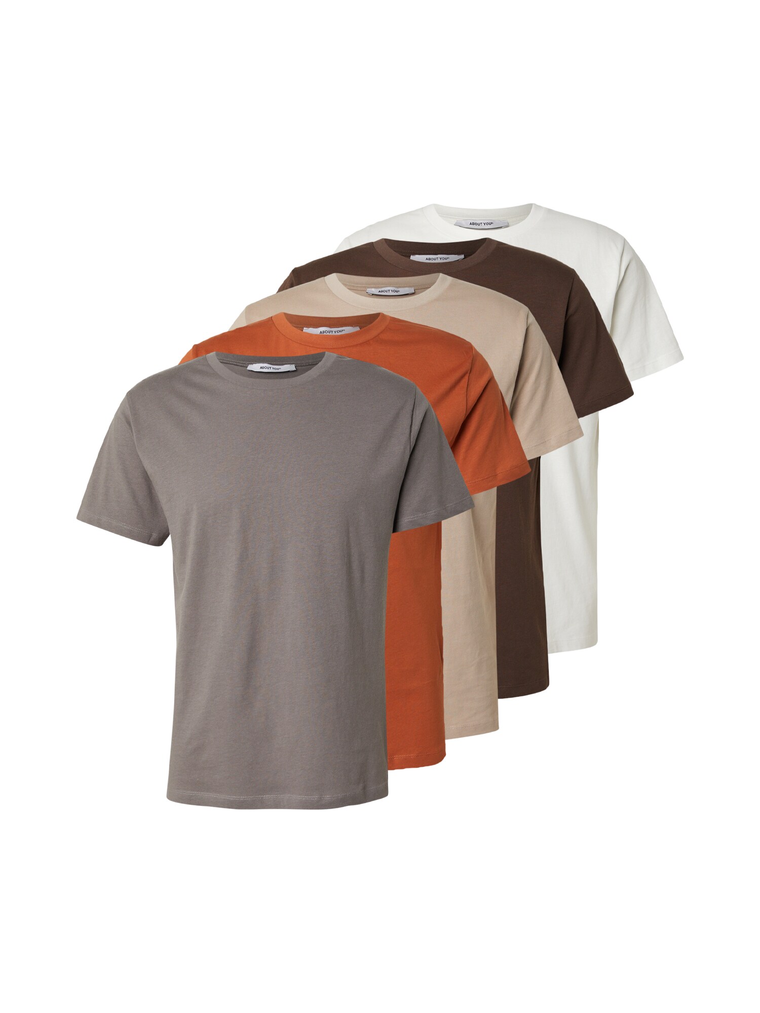 ABOUT YOU Tricou 'Peter'  bej / maro închis / pământiu / portocaliu închis / alb