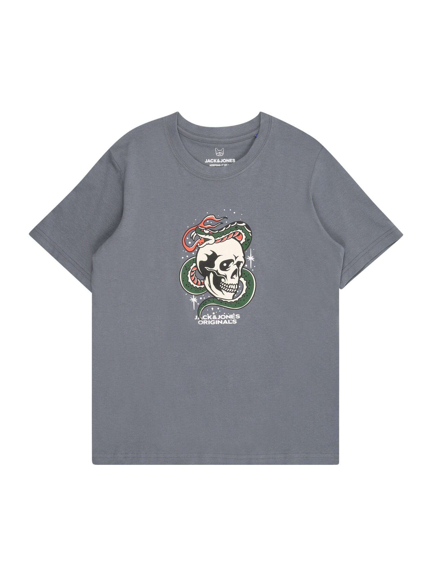 Jack & Jones Junior Tricou JORAnatomy Skull  gri bazalt / verde / negru / alb natural
