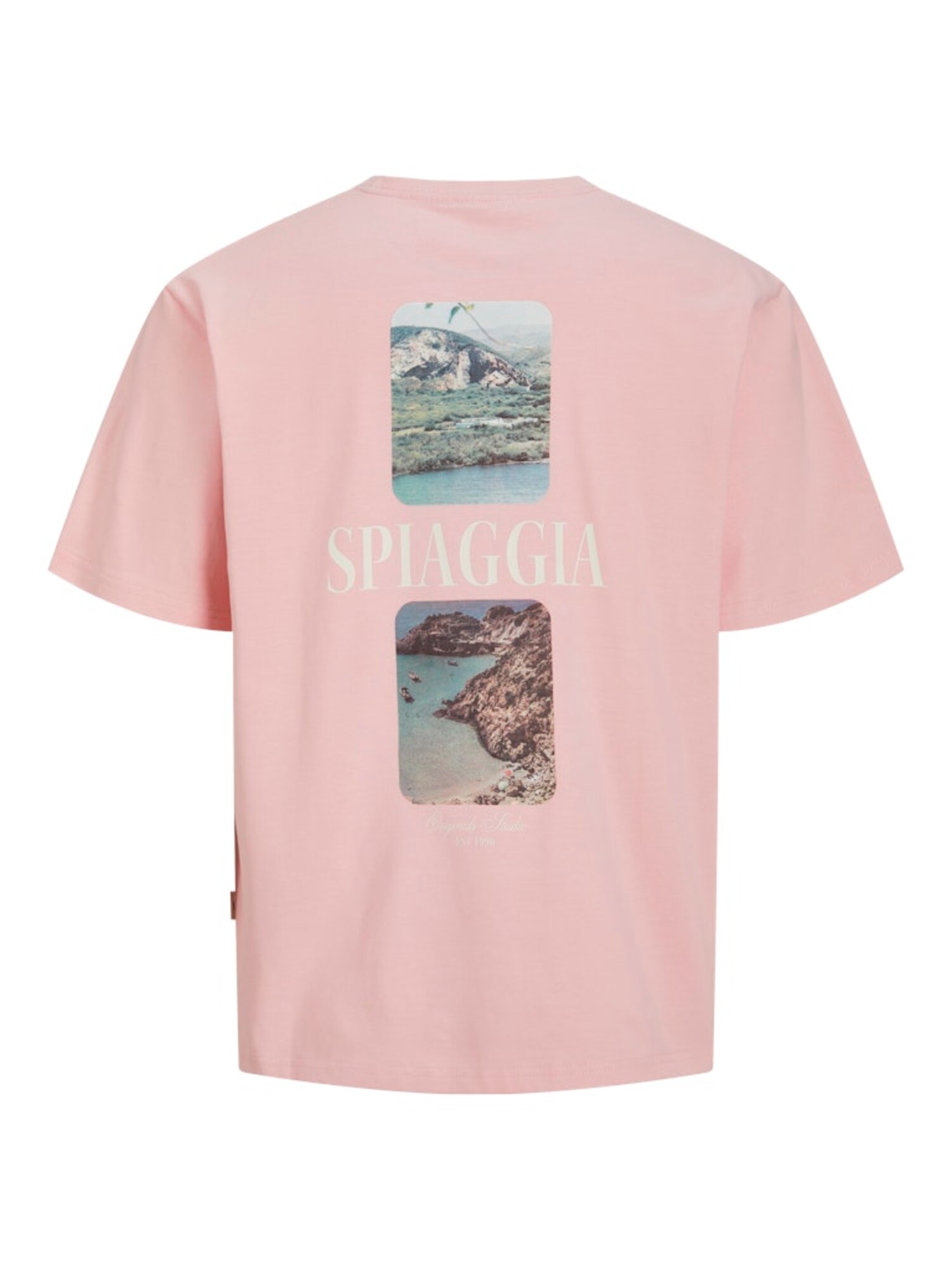 JACK & JONES Póló 'JORHYDRA'  barna / zöld / világos-rózsaszín / fehér termék 2. képe