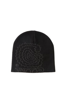 Carhartt WIP Gorra 'Limn'  gris oscuro / negro