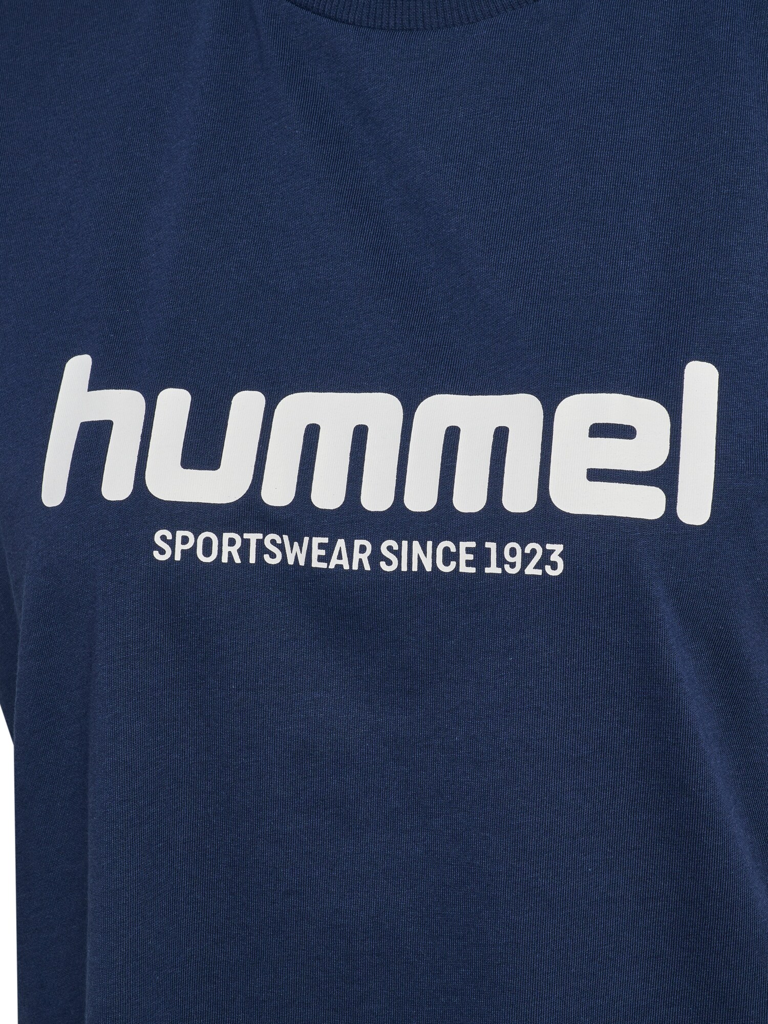 Hummel Camiseta funcional 'LEGACY 2.0' genciana / blanco – imagen 3