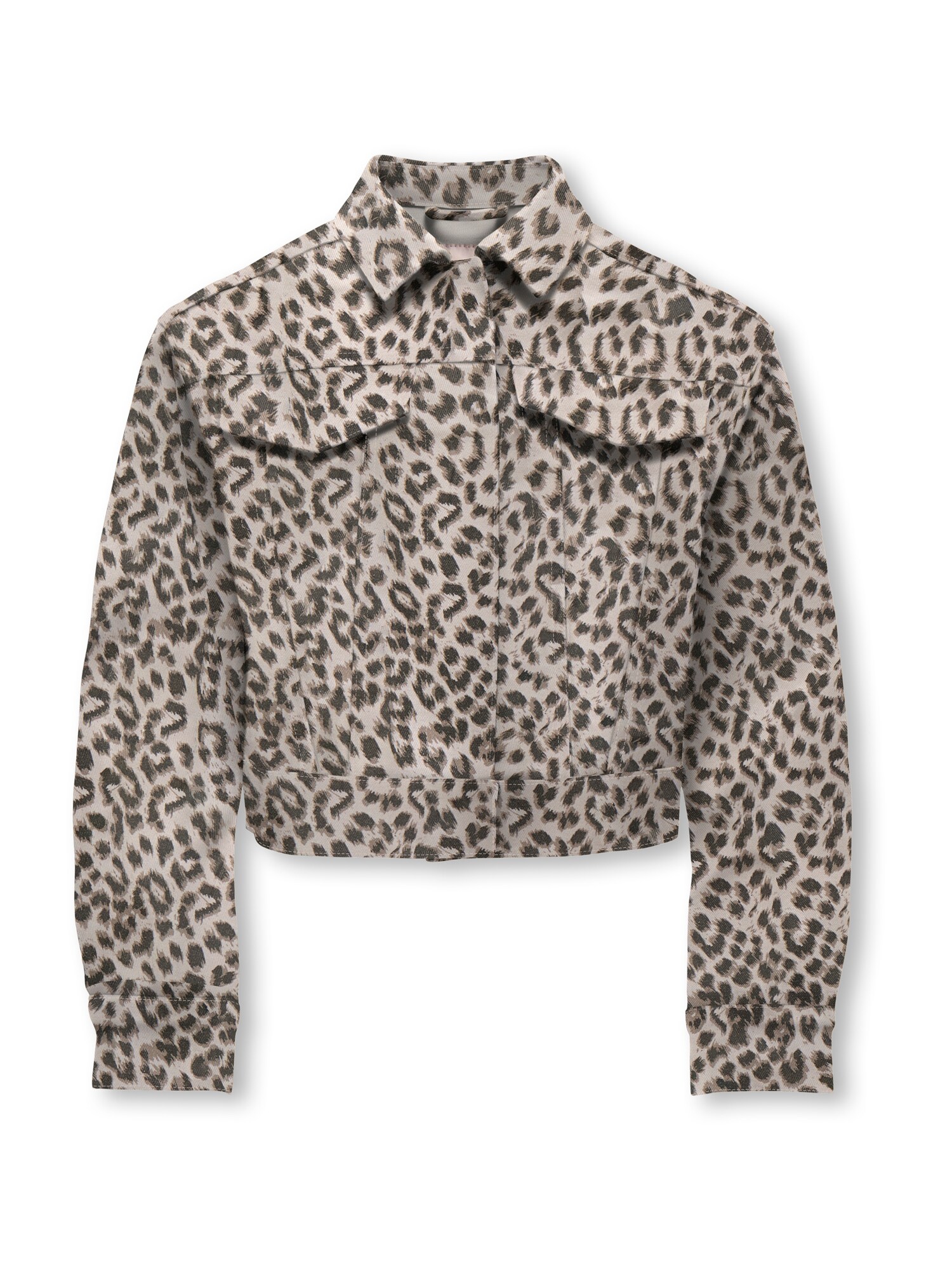 ONLY GIRLS Geacă de primăvară-toamnă KOGANLIE  gri metalic / grej / gri deschis