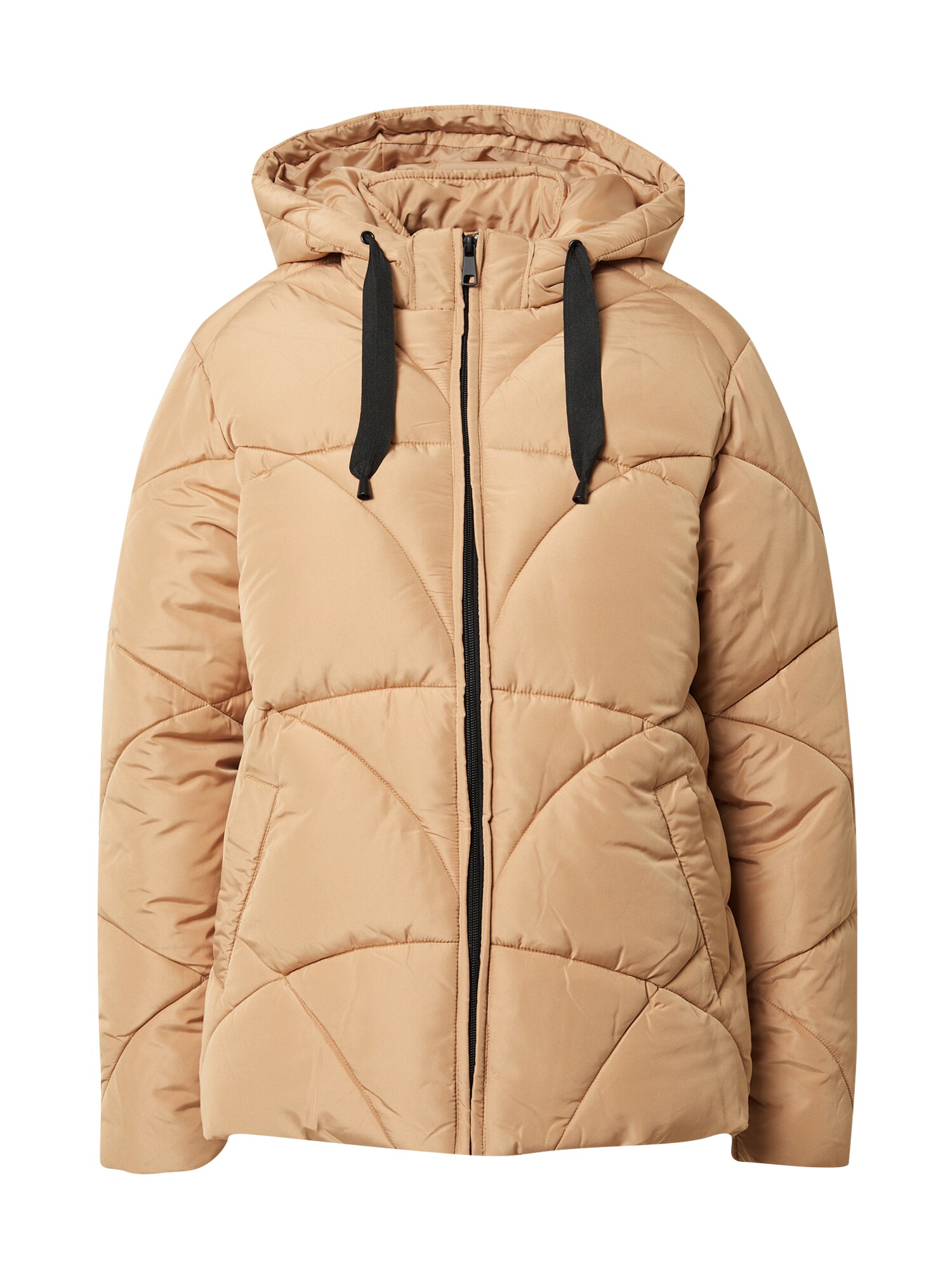 Dorothy Perkins Casaco de inverno  bege / preto