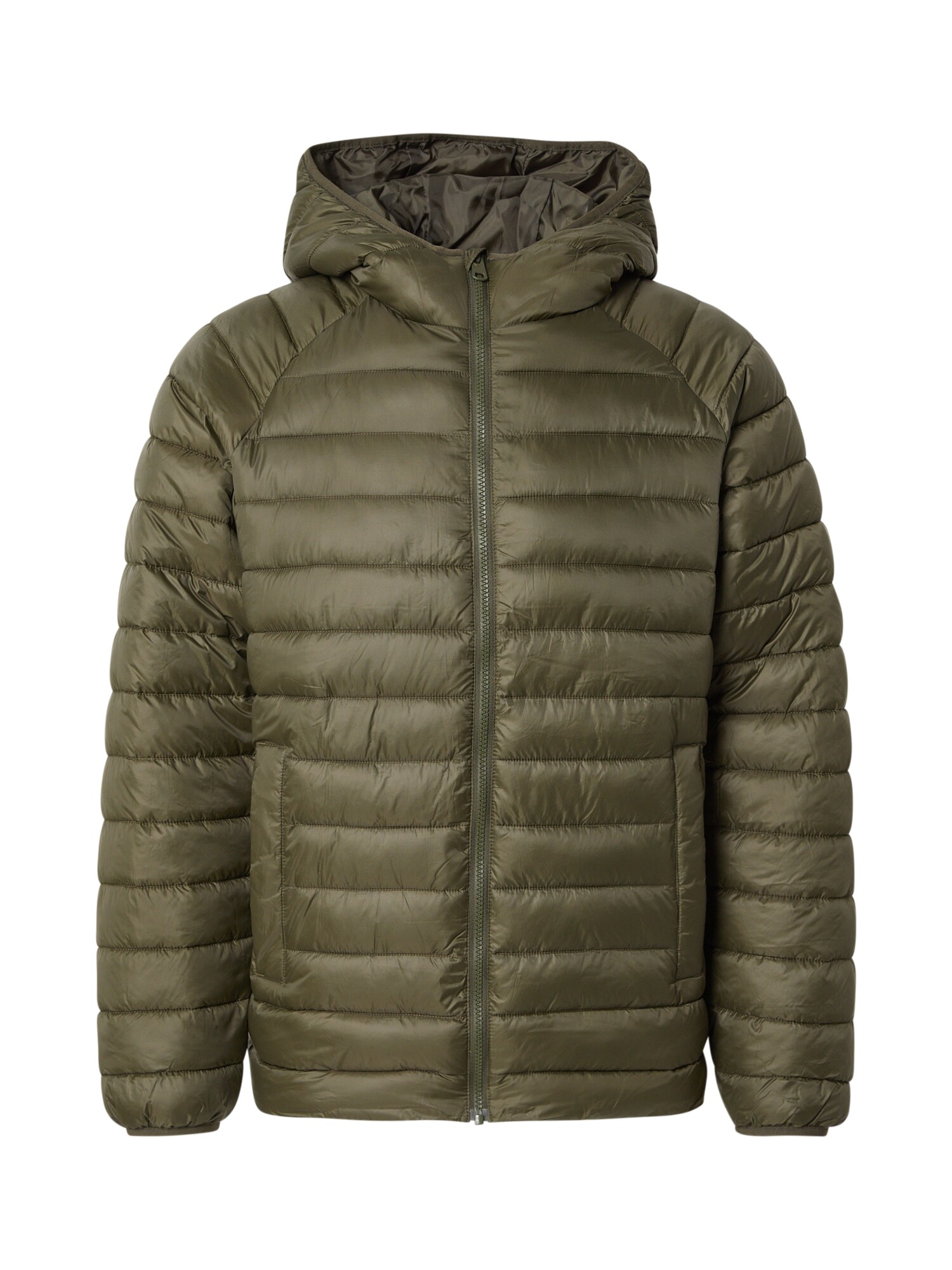 SELECTED Geacă de primăvară-toamnă SLHZJONES  verde pin