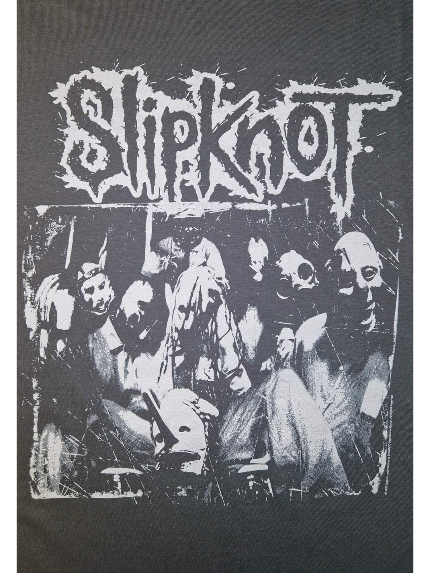 SLIPKNOT Camiseta 'Slipknot Albums Platter T-Shirt'  gris – imagen 3