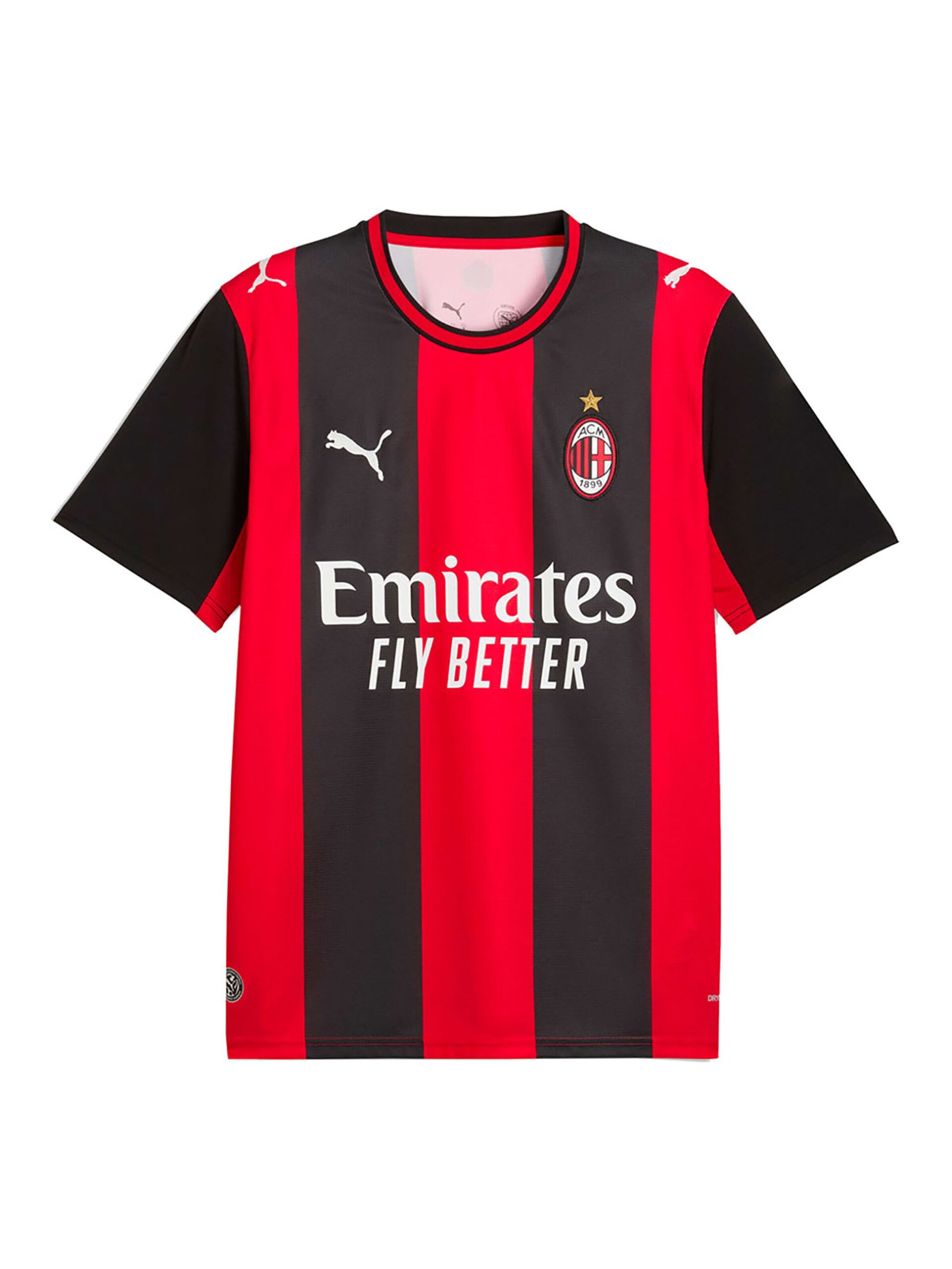 Puma Trikå 'AC Milan 2026/27' röd / svart t-shirts herr