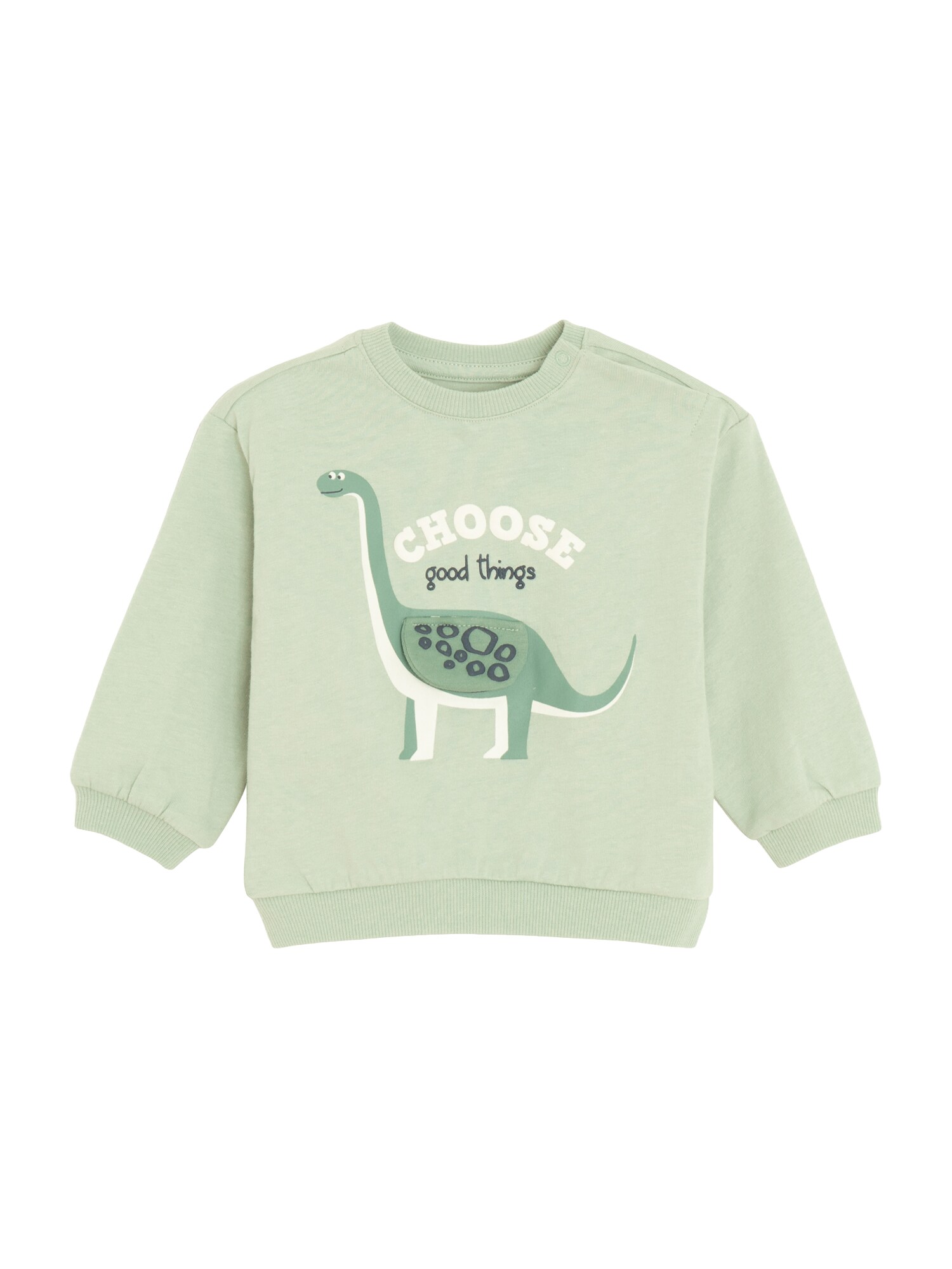 Cool Club Bluză de molton  verde / verde deschis / alb