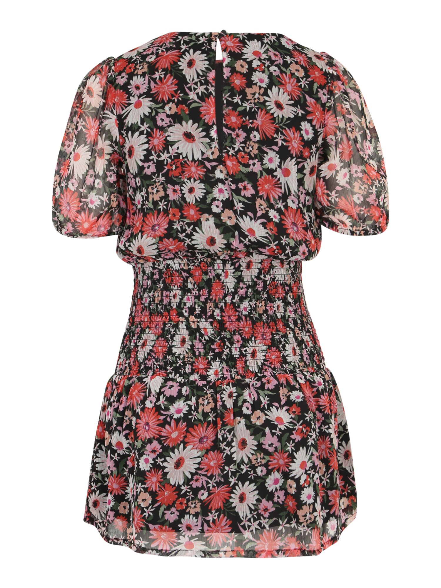 Dorothy Perkins Petite Ruha 'Daisy'  vegyes színek / korál termék 2. képe