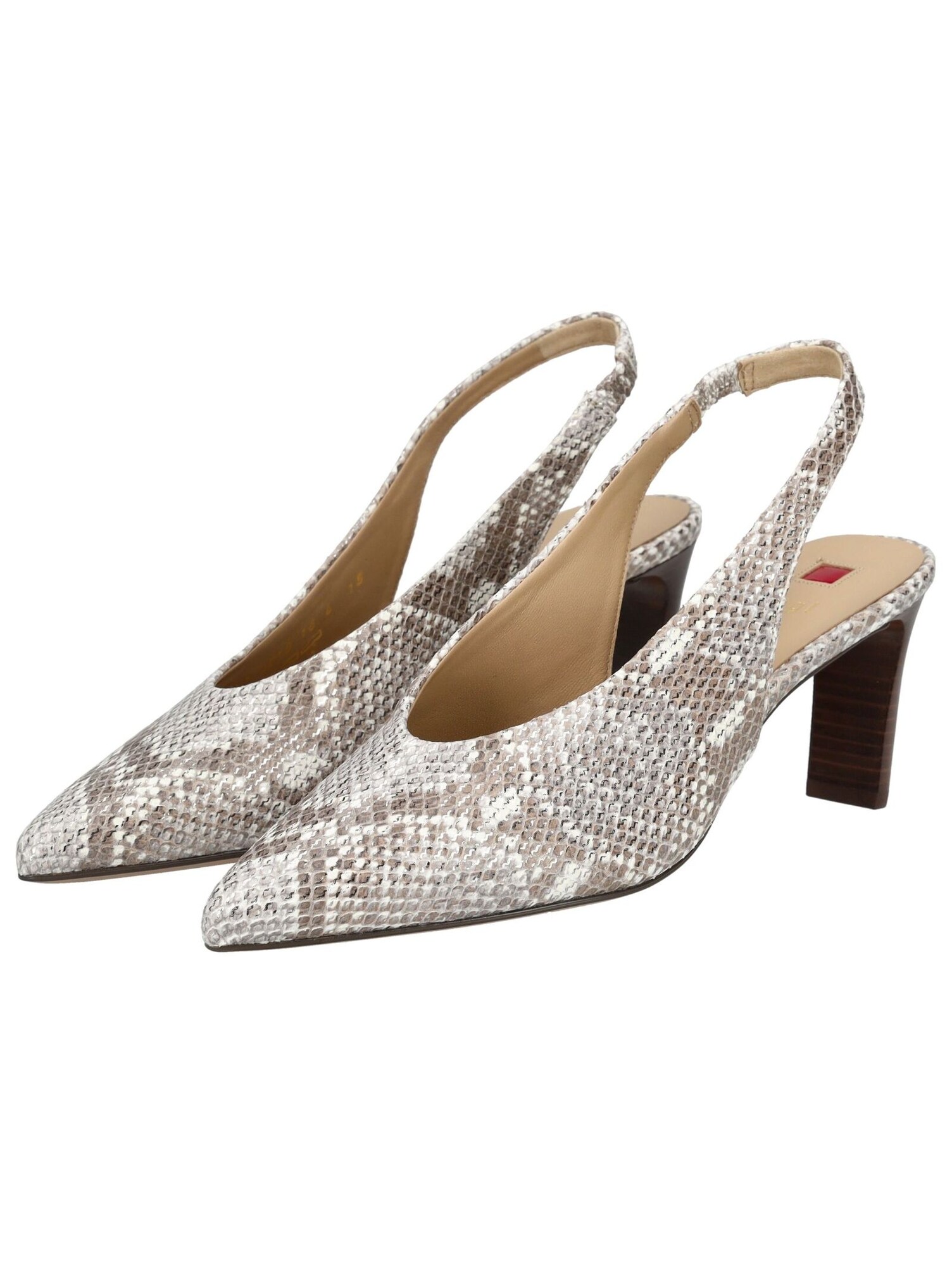 Thumbnail - Högl Pumps