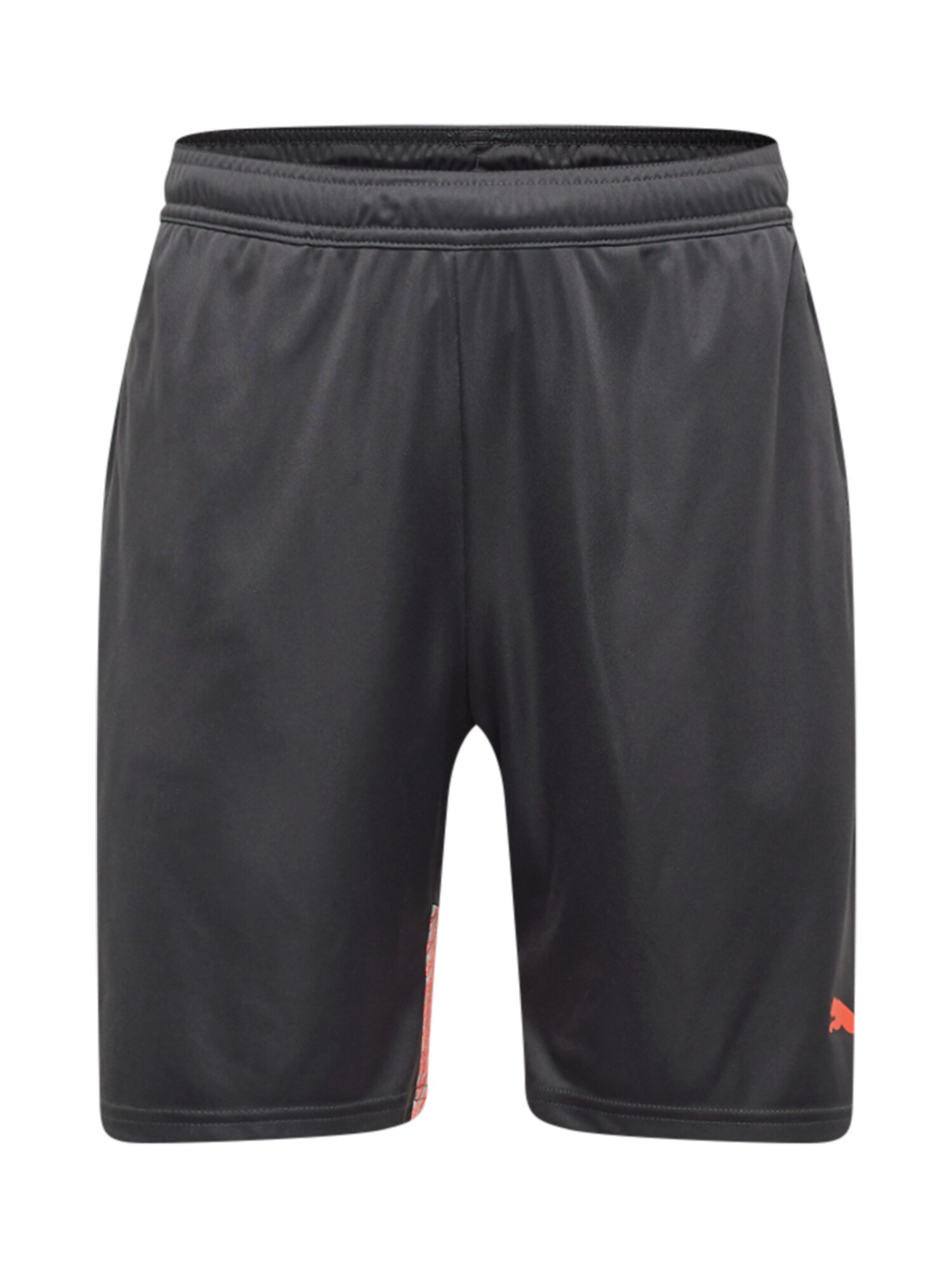 PUMA Pantaloni sport  gri metalic