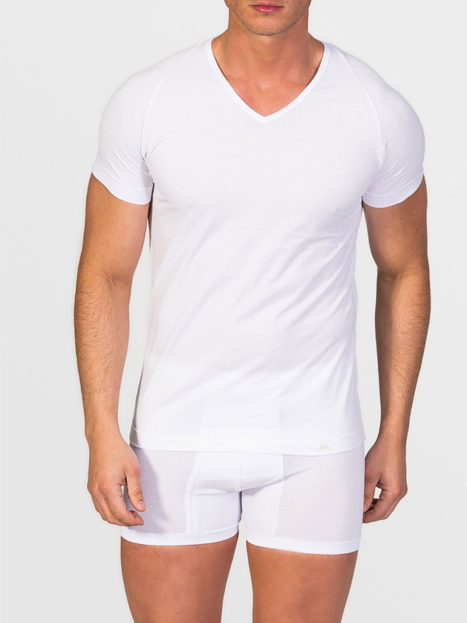 zd ZERO DEFECTS Maglietta intima 'V-Neck T-Shirt Egiptian Cotton'  bianco