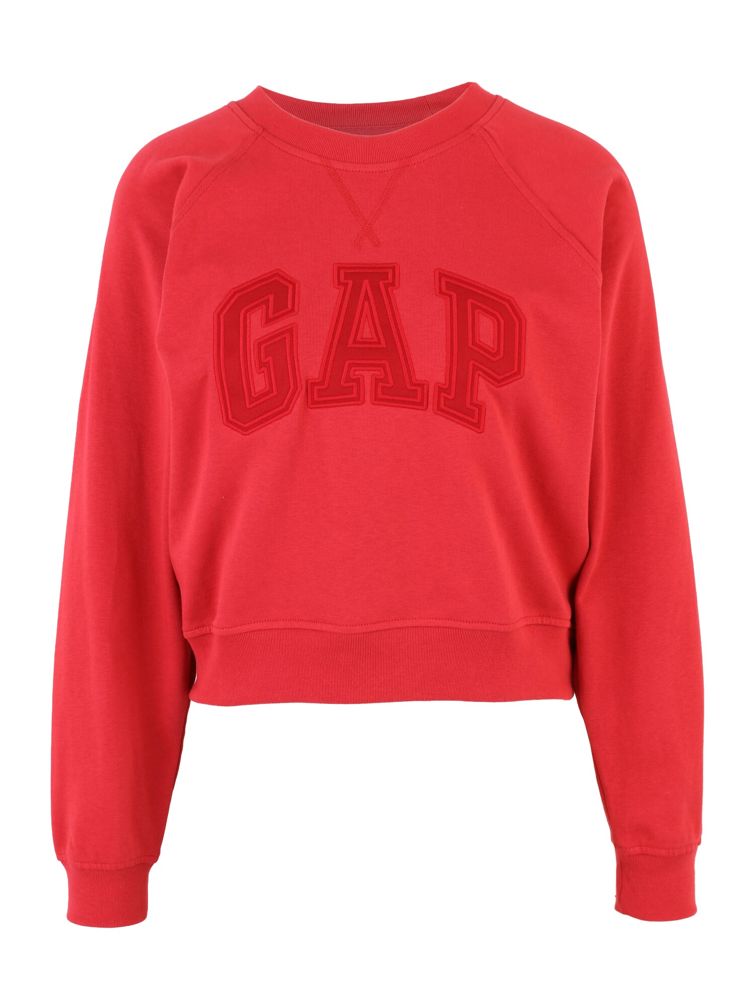 Gap Tall Bluză de molton  roșu / roșu deschis