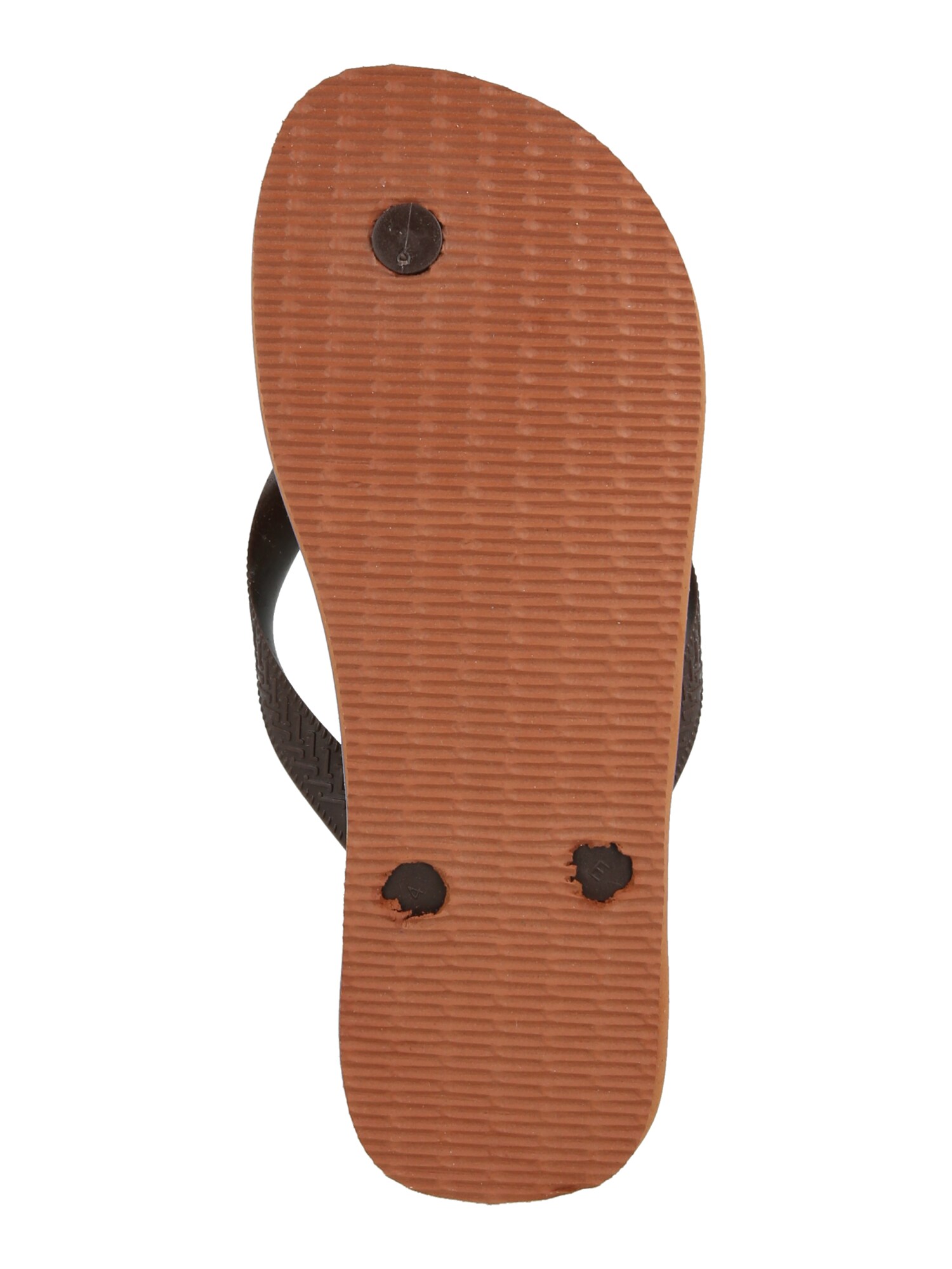 HAVAIANAS Sandalias de dedo  kitt / marrón – imagen 3