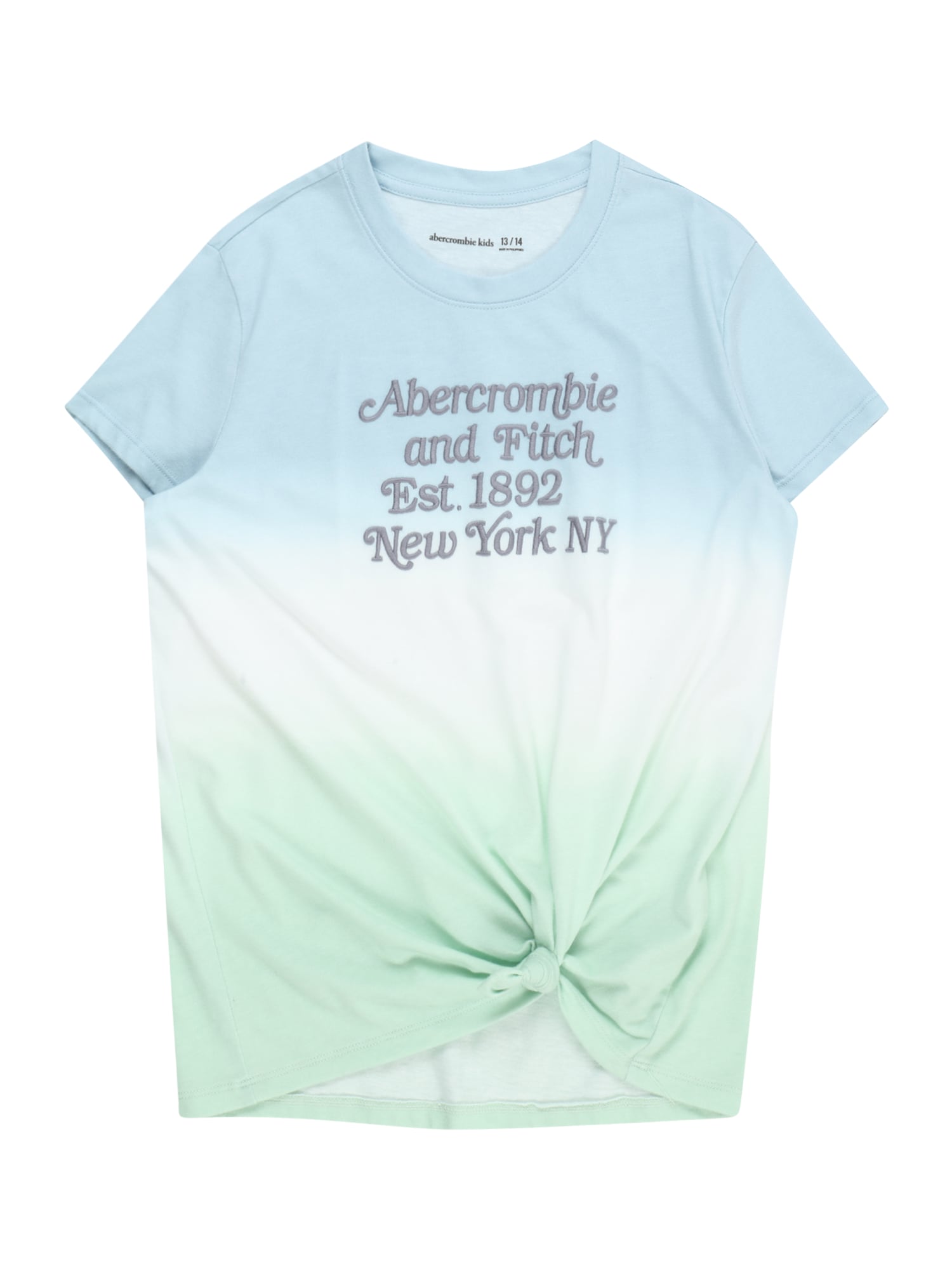 Abercrombie & Fitch Majica  svetlo modra / siva / meta / bela
