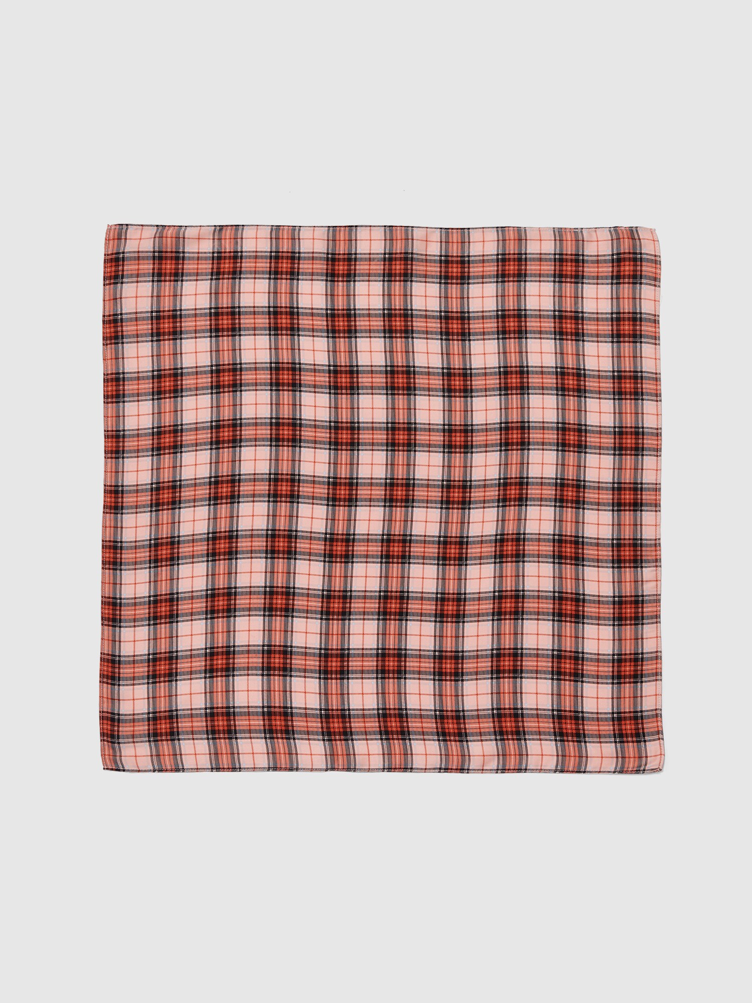 EDITED Batistă Ezra  mai multe culori / roz