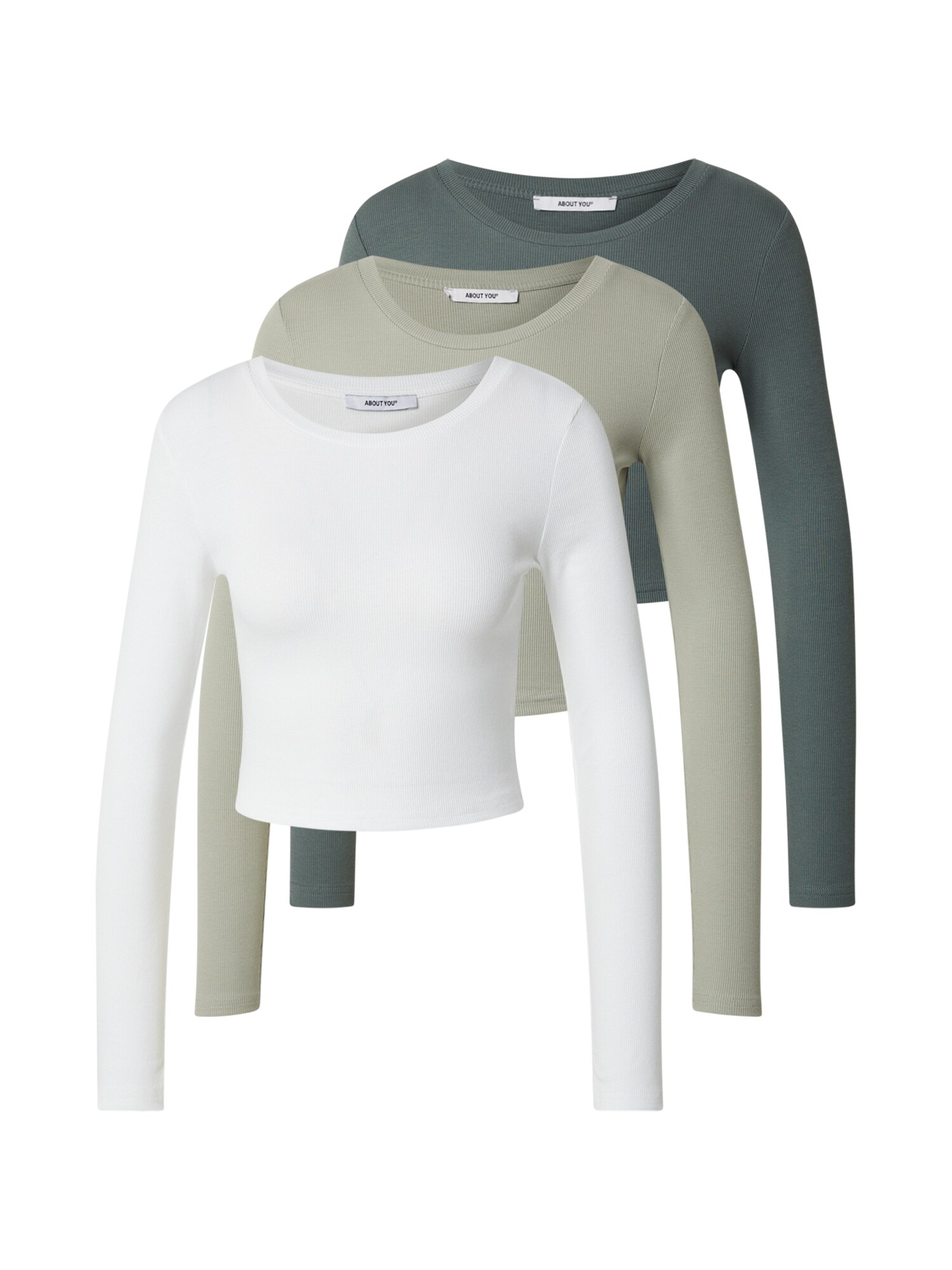 ABOUT YOU Tricou Loretta  verde mentă / verde închis / alb