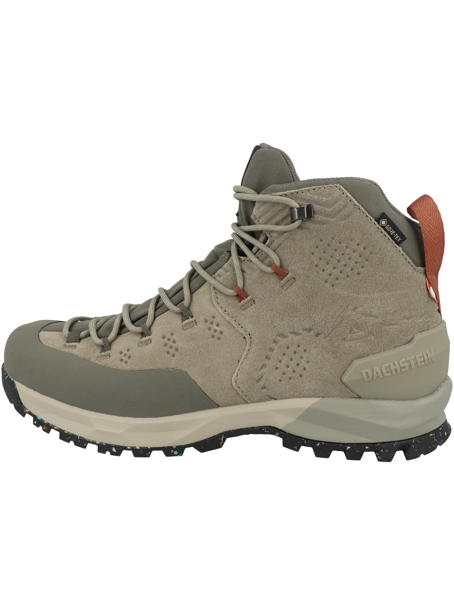 Dachstein Zapatos bajos  verde