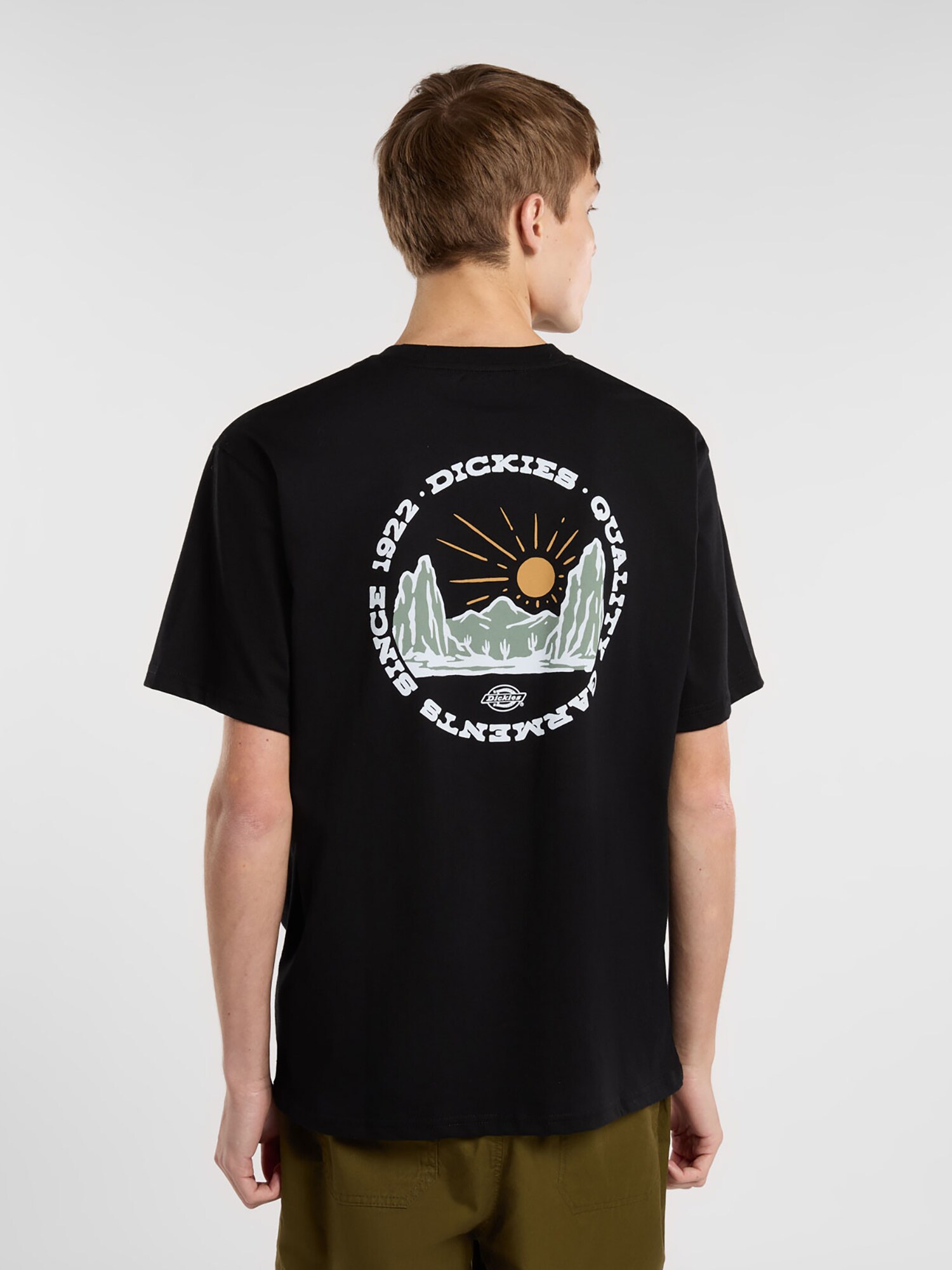 DICKIES Tricou  galben șofran / verde deschis / negru / alb