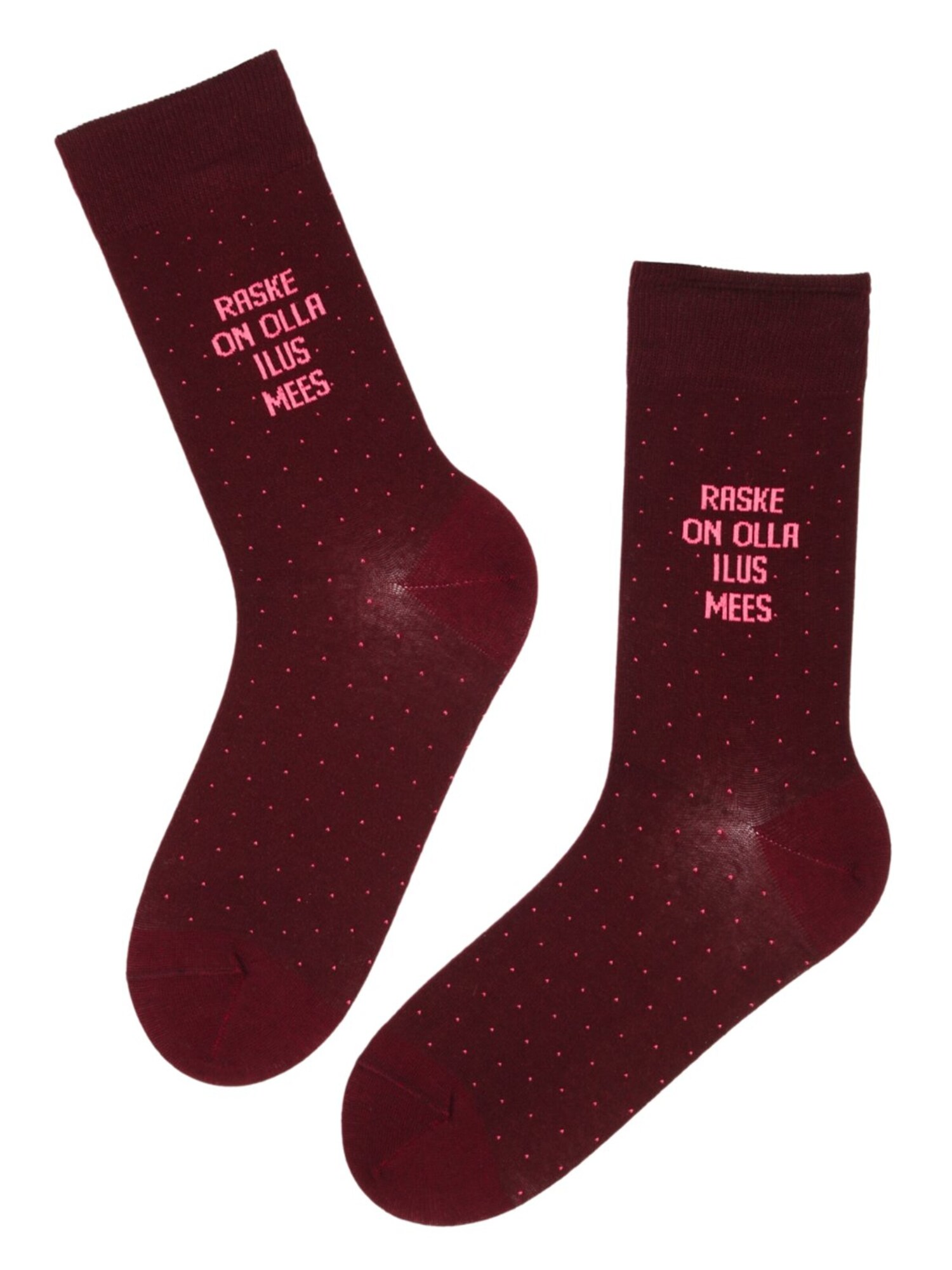 Sokisahtel Čarape 'TAAVI cotton socks for a handsome man' burgund
