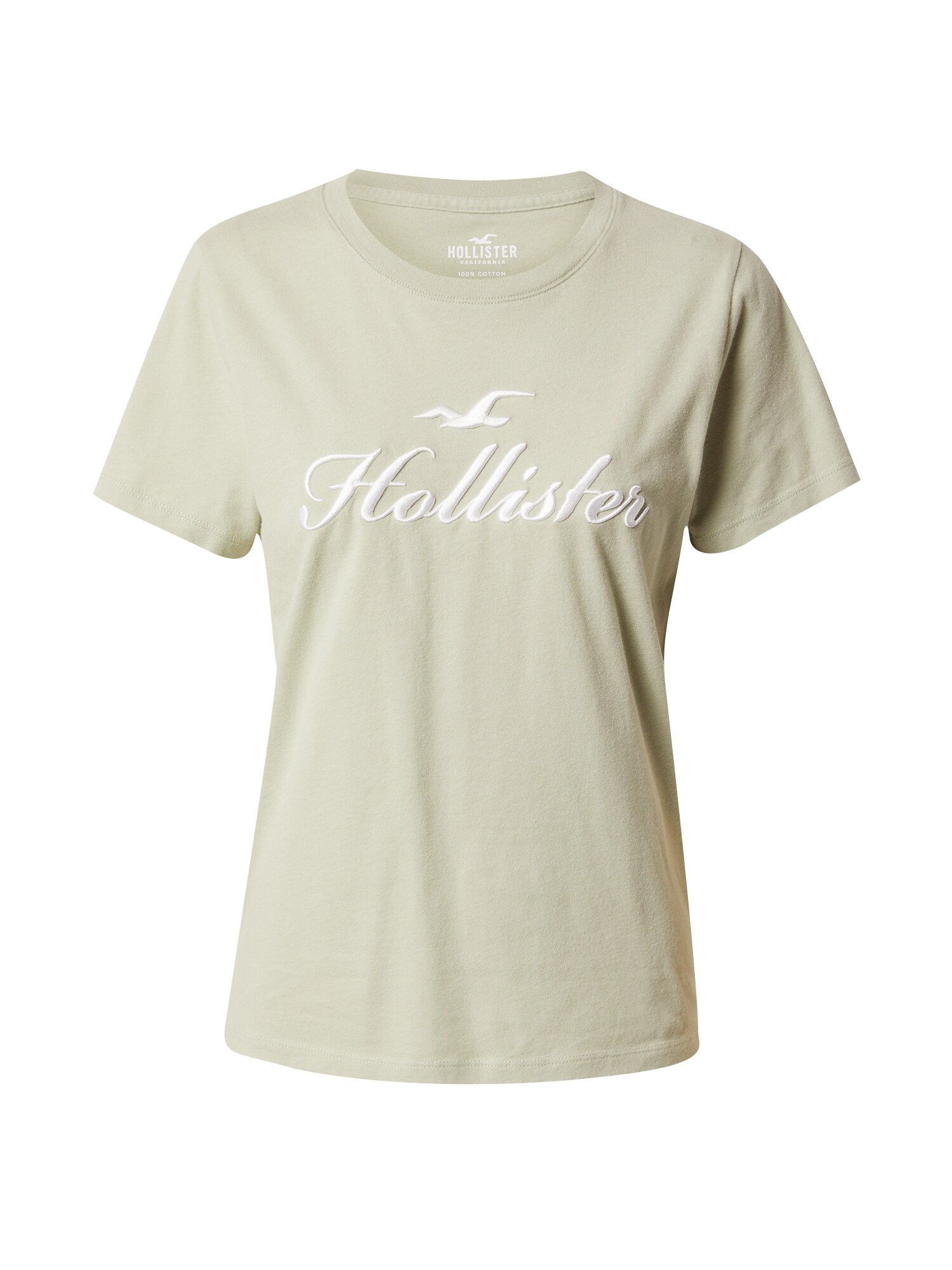 HOLLISTER Tričko 'DESERT SAGE'  pastelovo zelená / biela