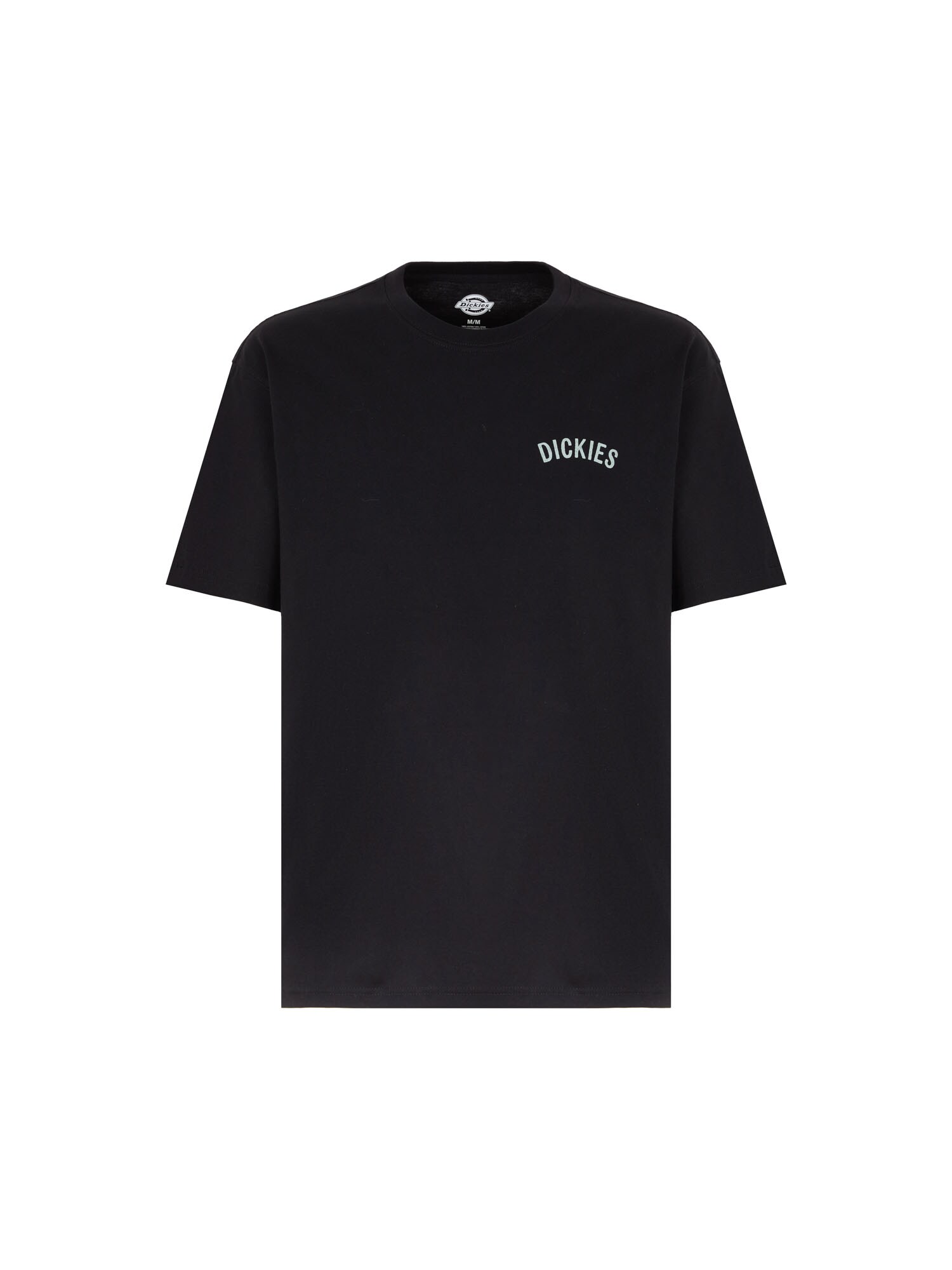 DICKIES Póló 'Snake'  bézs / menta / fekete / fehér akciós termékkép 1