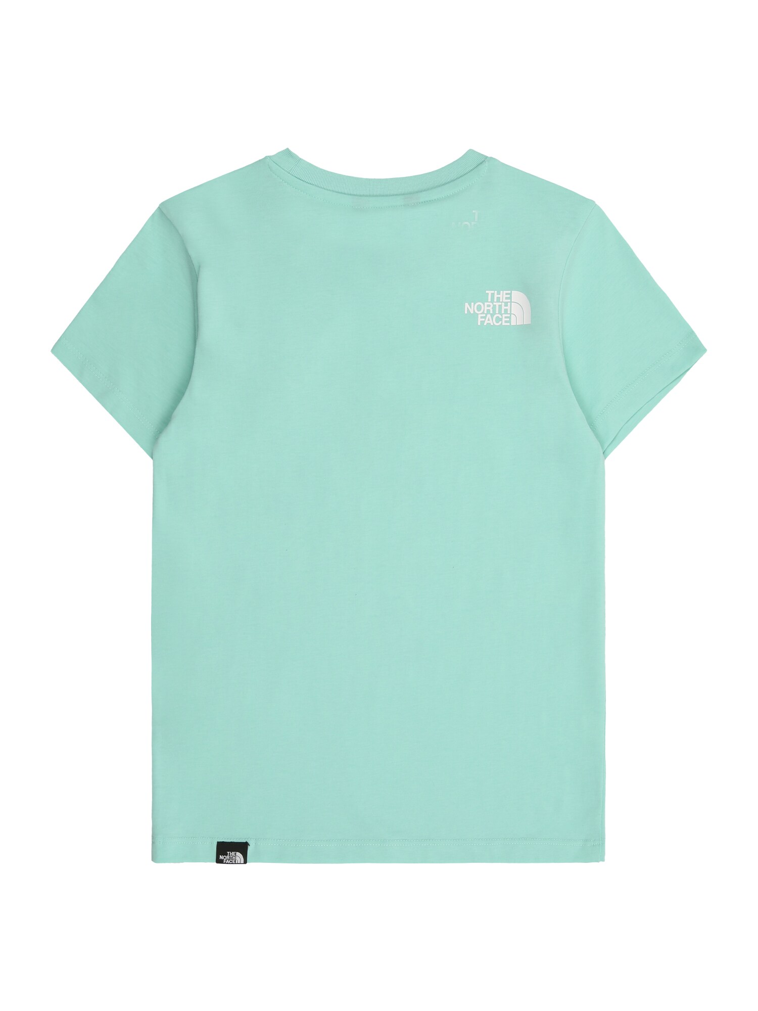THE NORTH FACE Funkcionális felső 'SIMPLE DOME'  menta / fehér termék 2. képe