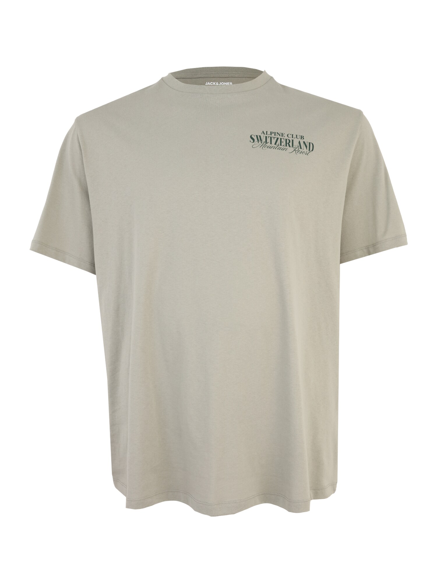 Jack & Jones Plus Tricou 'JORALPINE'  verde pastel / verde închis