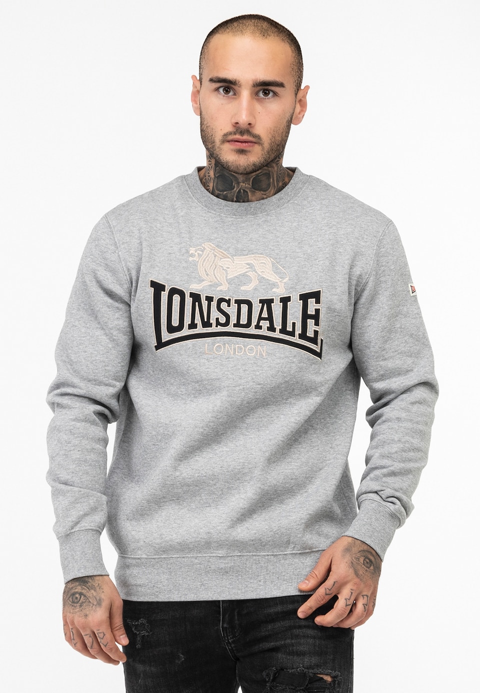 Sweatshirt 'Lawins' beige / gråmelerad