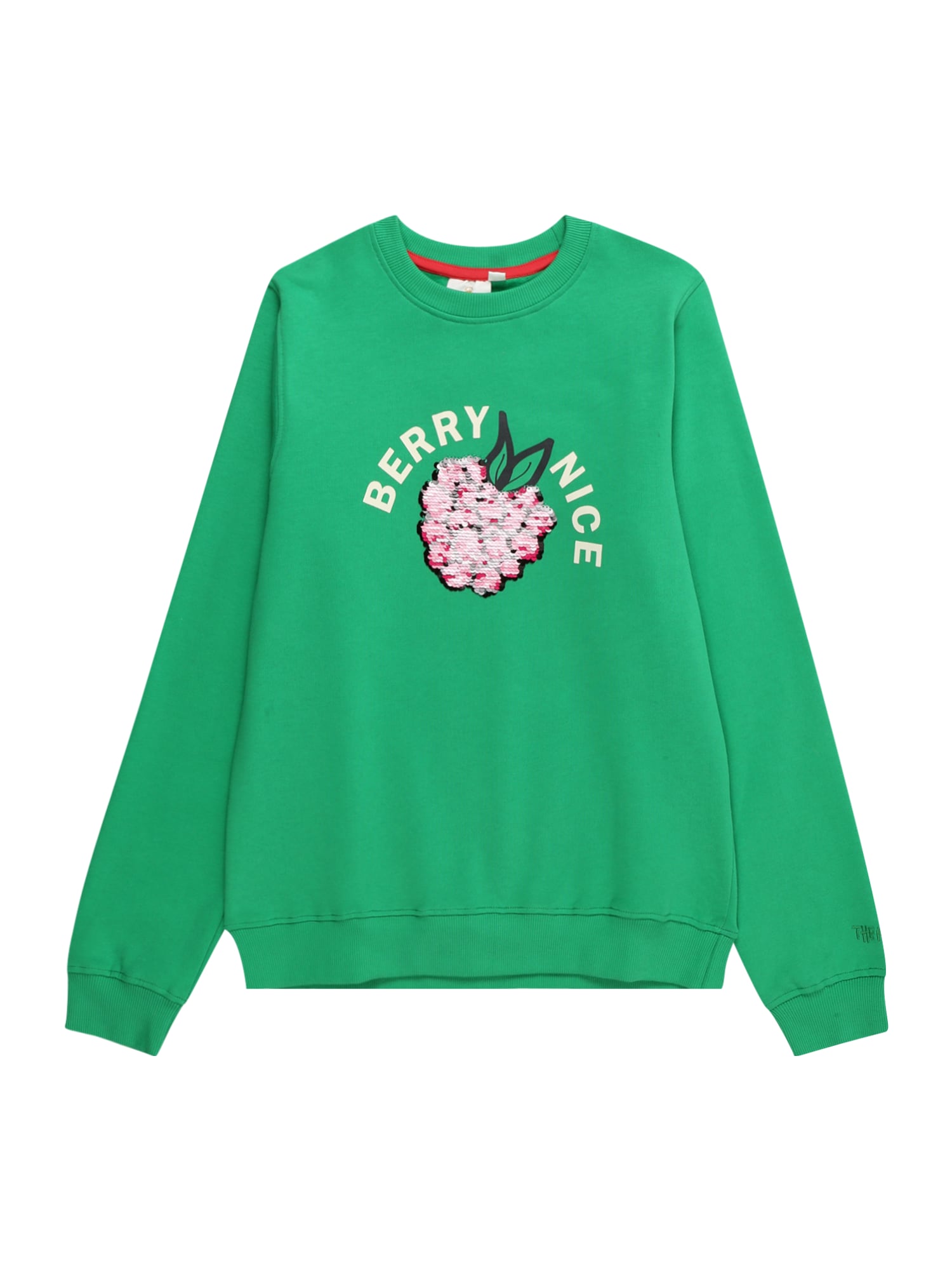The New Sweater majica 'Josline'  ecru/prljavo bijela / zelena / roza / crna