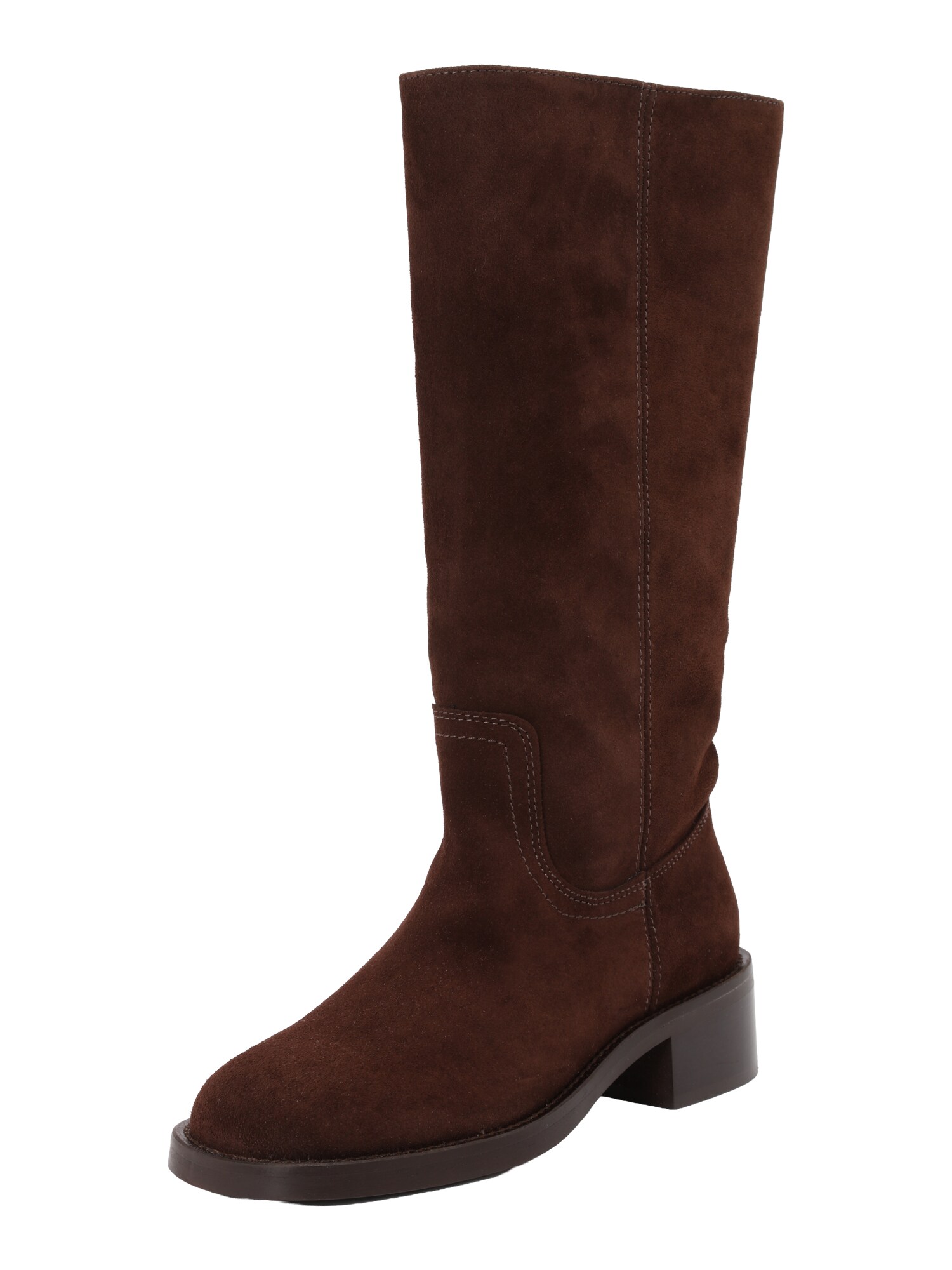 STEVE MADDEN Cizme Riggs-E  maro