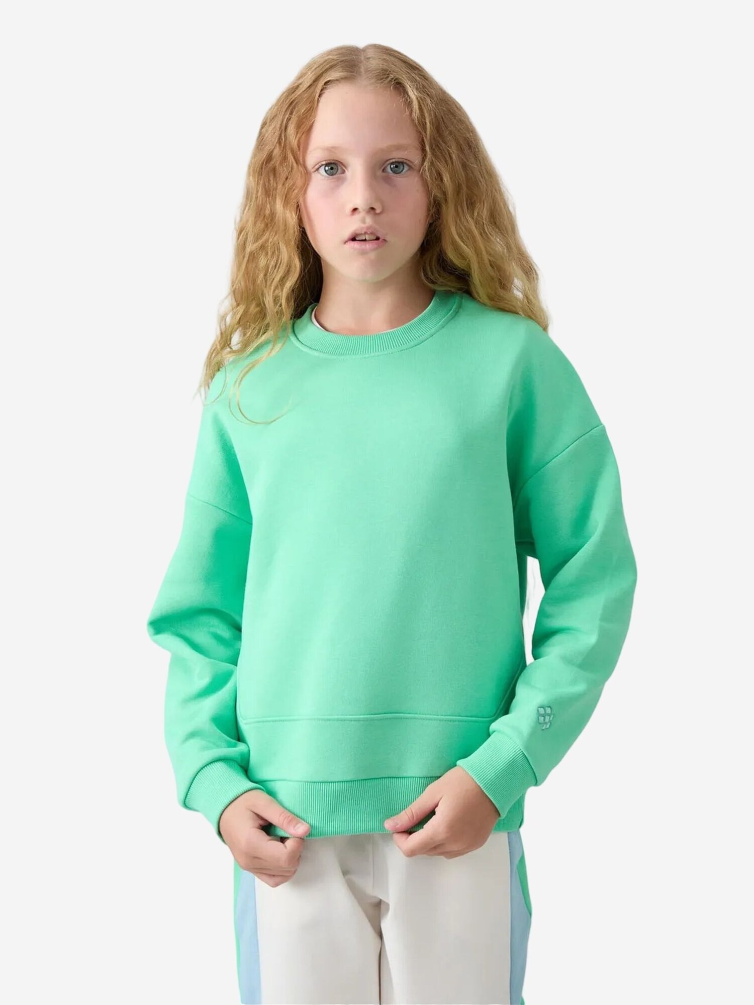 Tommy Life Sweater majica 'TOMMY Sweatshirt aus Baumwollmischung' menta