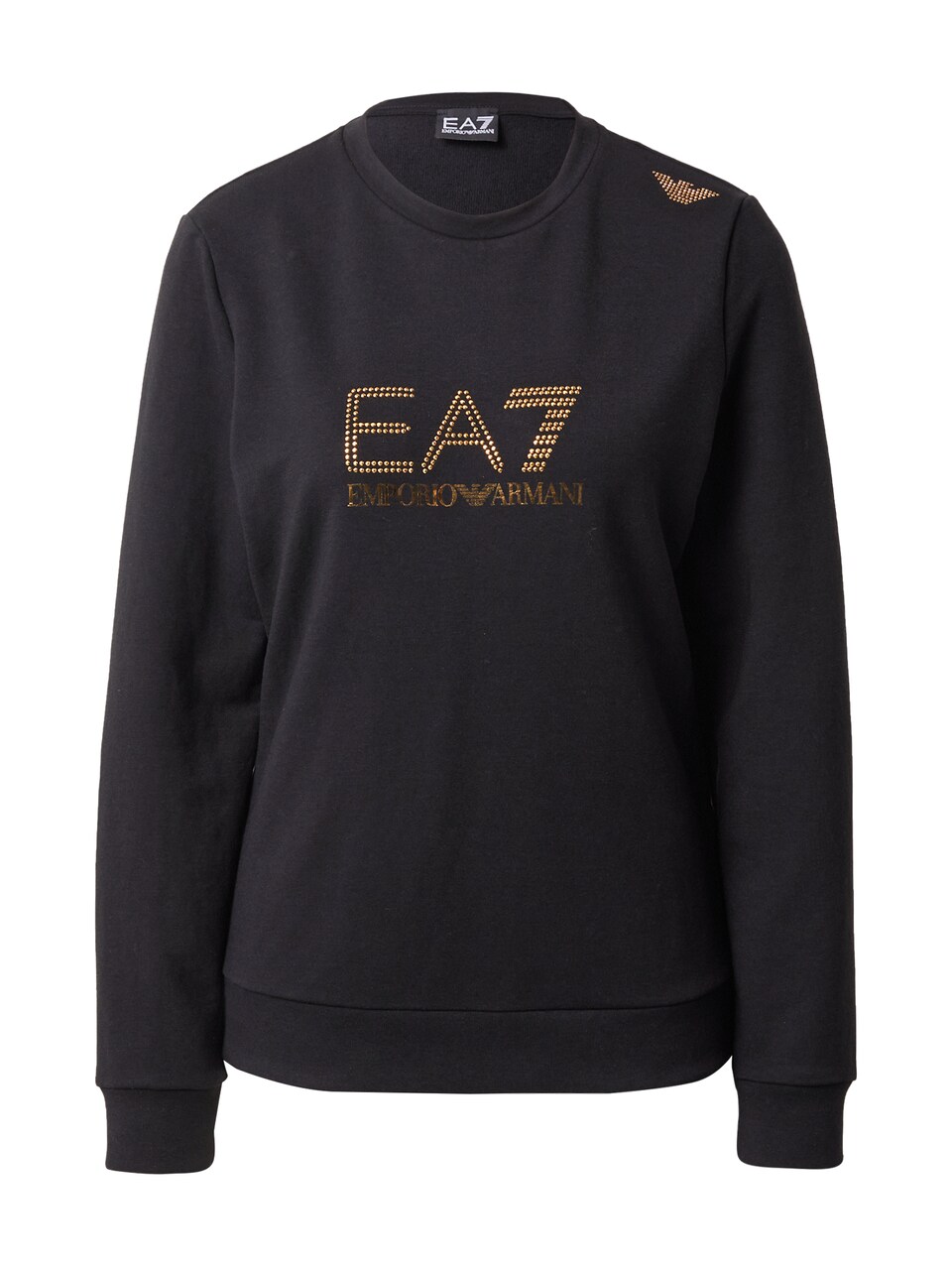 Sweatshirt 'Evolution'