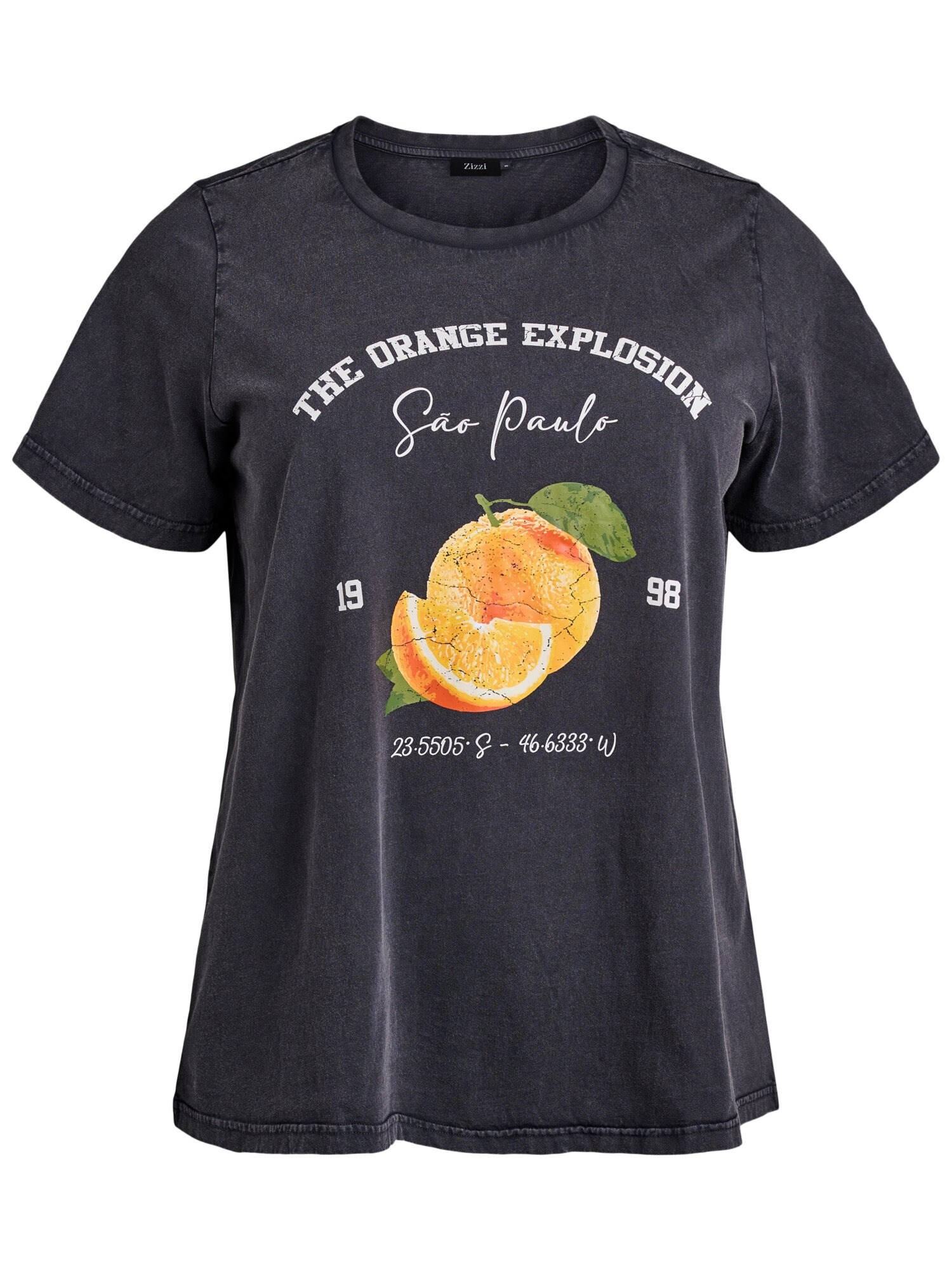 Zizzi Tricou Mally  gri metalic / verde / alb