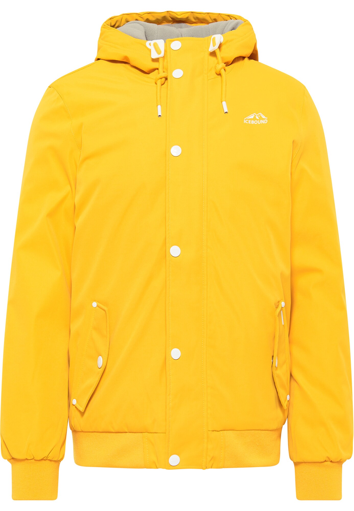 ICEBOUND Geacă de iarnă  galben