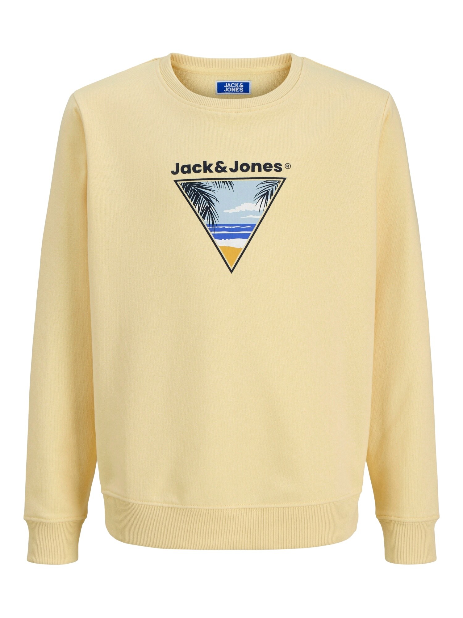 Jack & Jones Junior Bluză de molton 'Perry'  galben / mai multe culori
