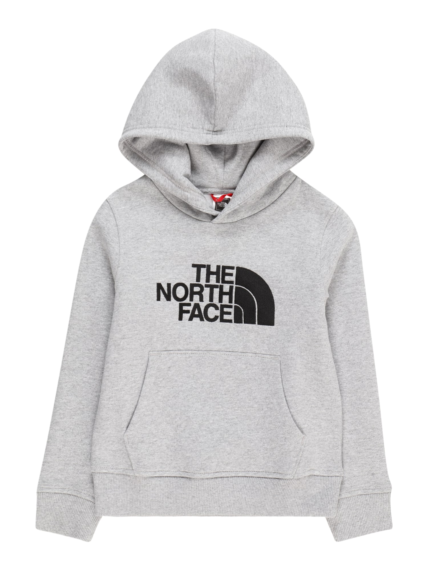 THE NORTH FACE Športna majica 'DREW PEAK'  svetlo siva / pegasto siva / črna