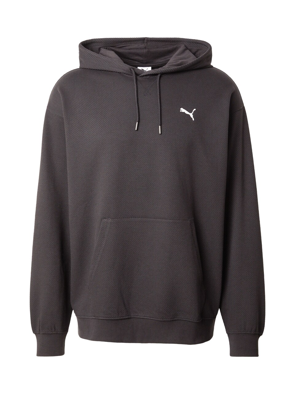 Sweatshirt 'ESS'