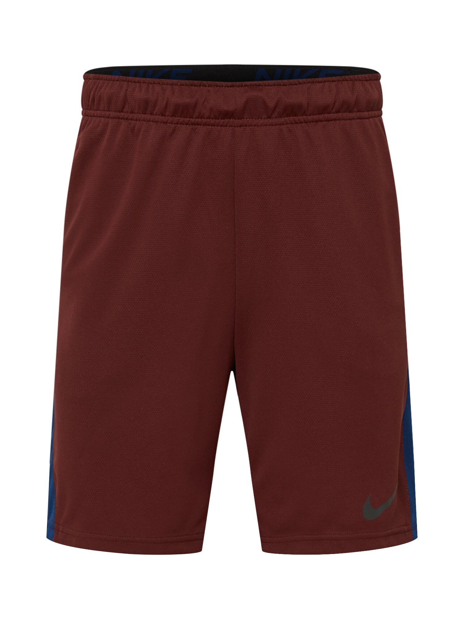 NIKE Sportinės kelnės  vyno raudona spalva / dangaus žydra