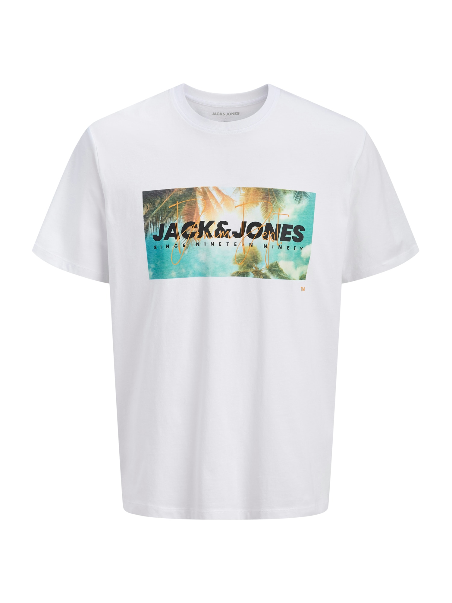 Jack & Jones Plus Tricou 'JJINDIANA'  maro / verde pastel / negru / alb