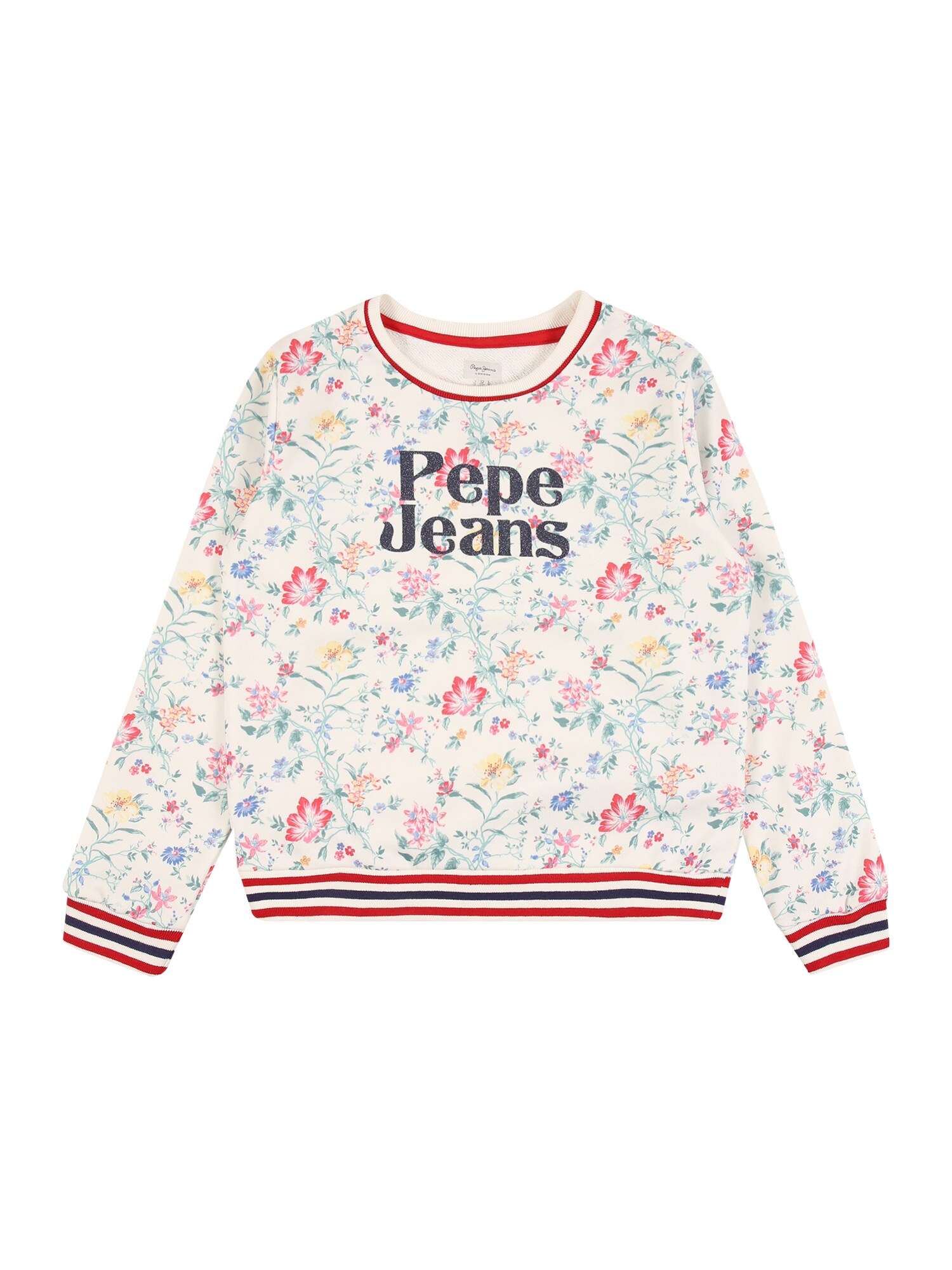 Pepe Jeans Megztinis be užsegimo 'Torence'  mišrios spalvos / smėlio / pastelinė žalia / tamsiai mėlyna / raudona
