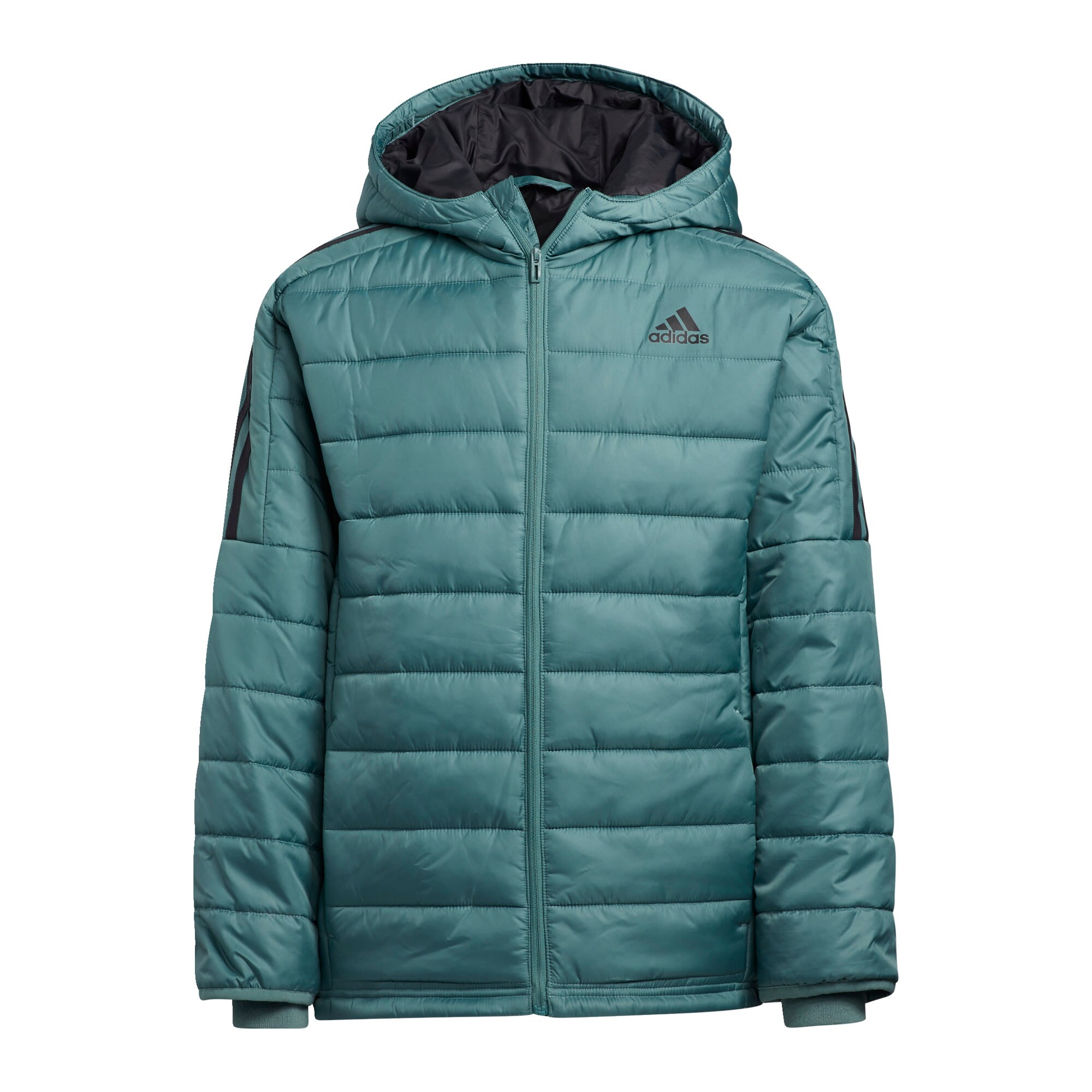 ADIDAS PERFORMANCE Laisvalaikio striukė  nefrito spalva / juoda