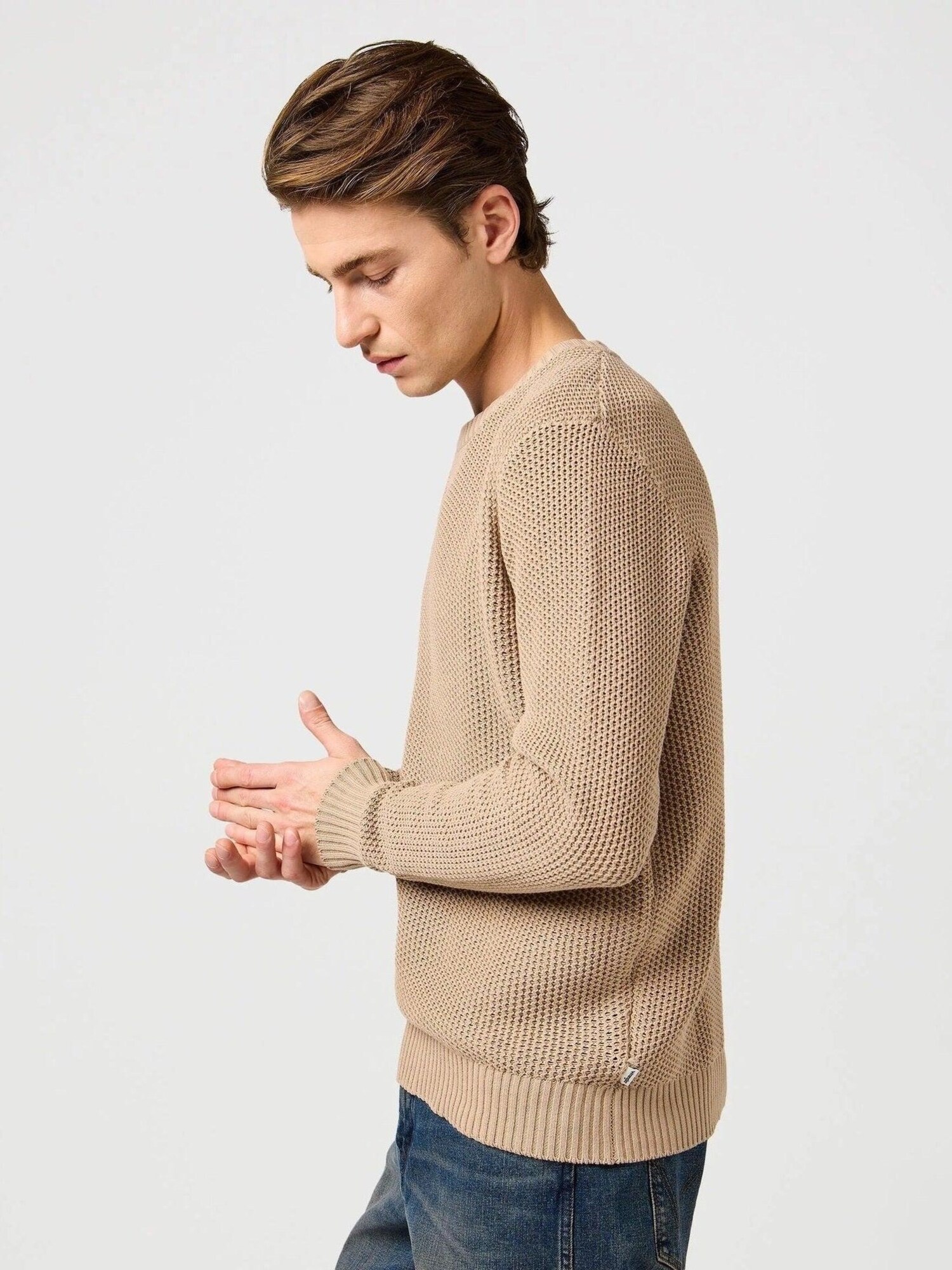 WRANGLER Jersey 'CREWNECK TIMBERWOLF' beige – imagen 3