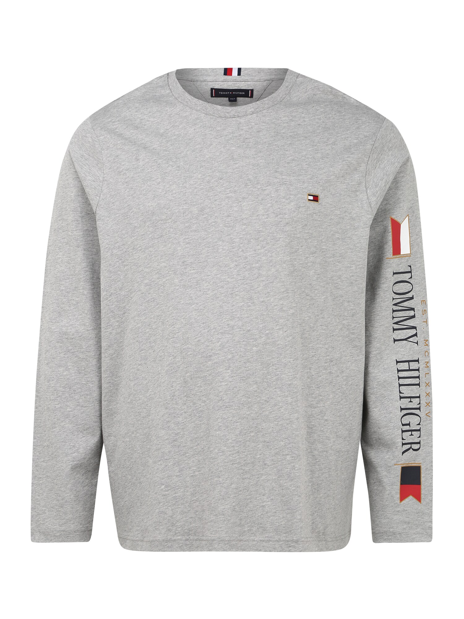 TOMMY HILFIGER Marškinėliai  raudona / pilka / balta