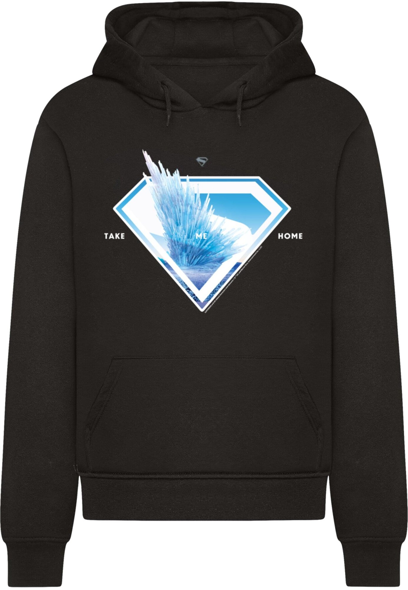 Thumbnail - ABSOLUTE CULT Superman Logo Svalbard Take Me Home Basic Hoody