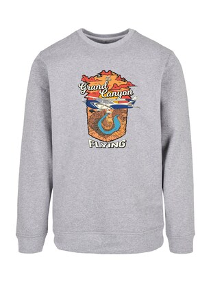 F4NT4STIC Sweatshirt ‘Grand Canyon Flying’ Grijs gemêleerd / Gemengde kleuren