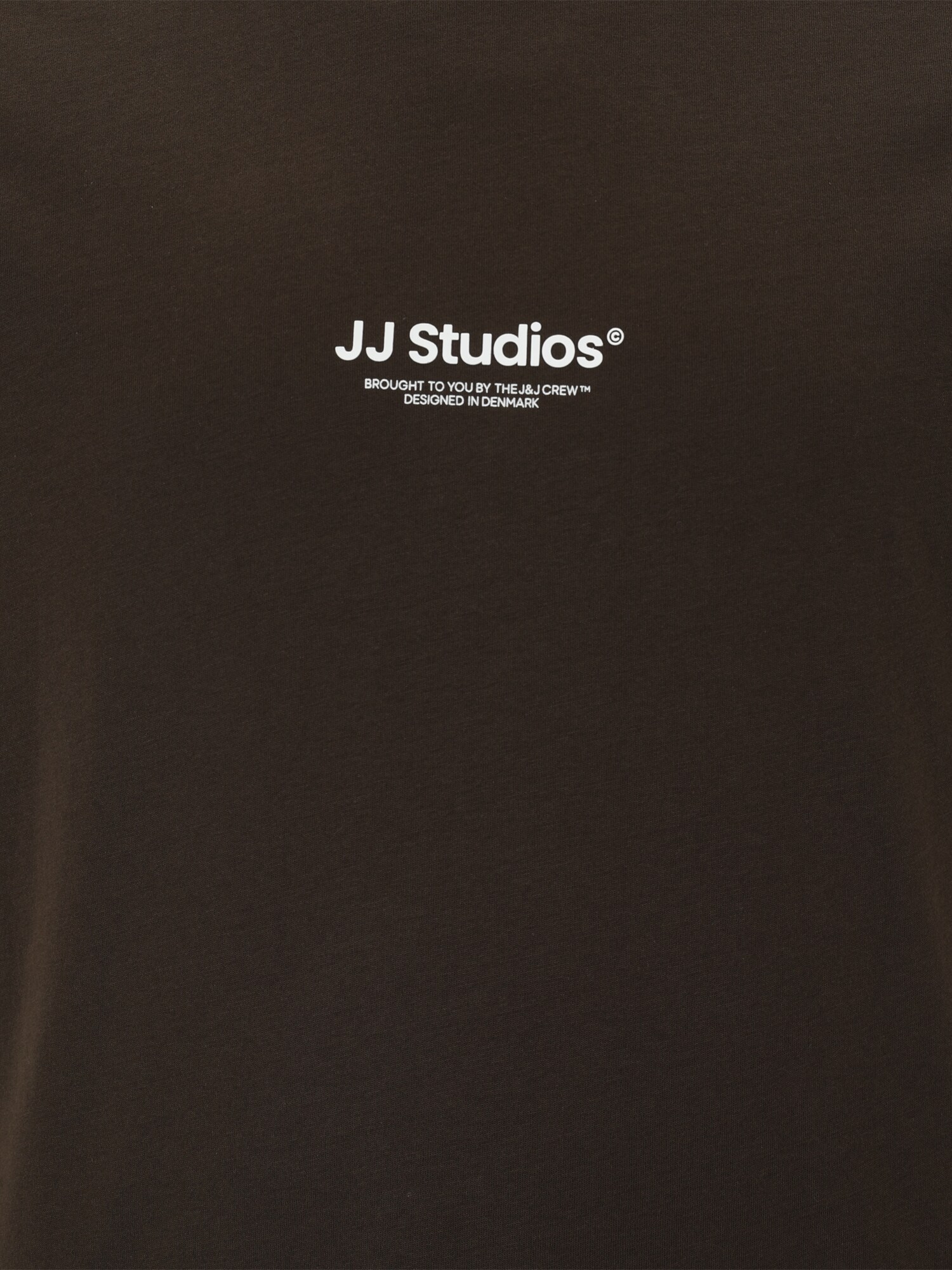 Jack & Jones Plus Tričko 'JJESOHO' tmavohnedá / biela (obrázok 3)