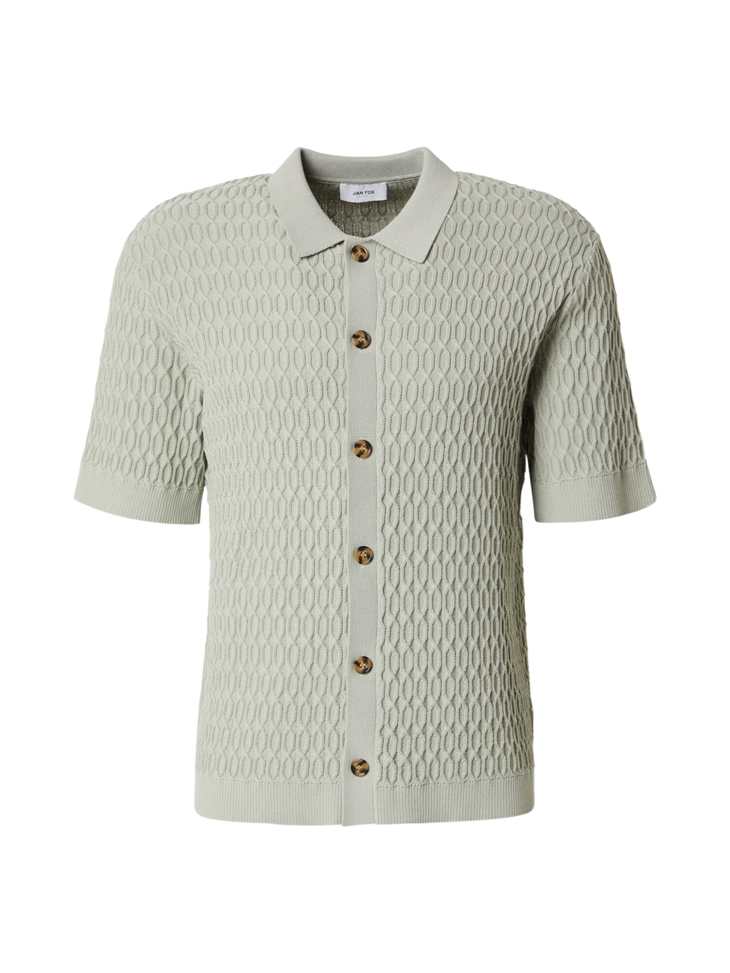 DAN FOX APPAREL Cămașă 'Domenic'  verde deschis