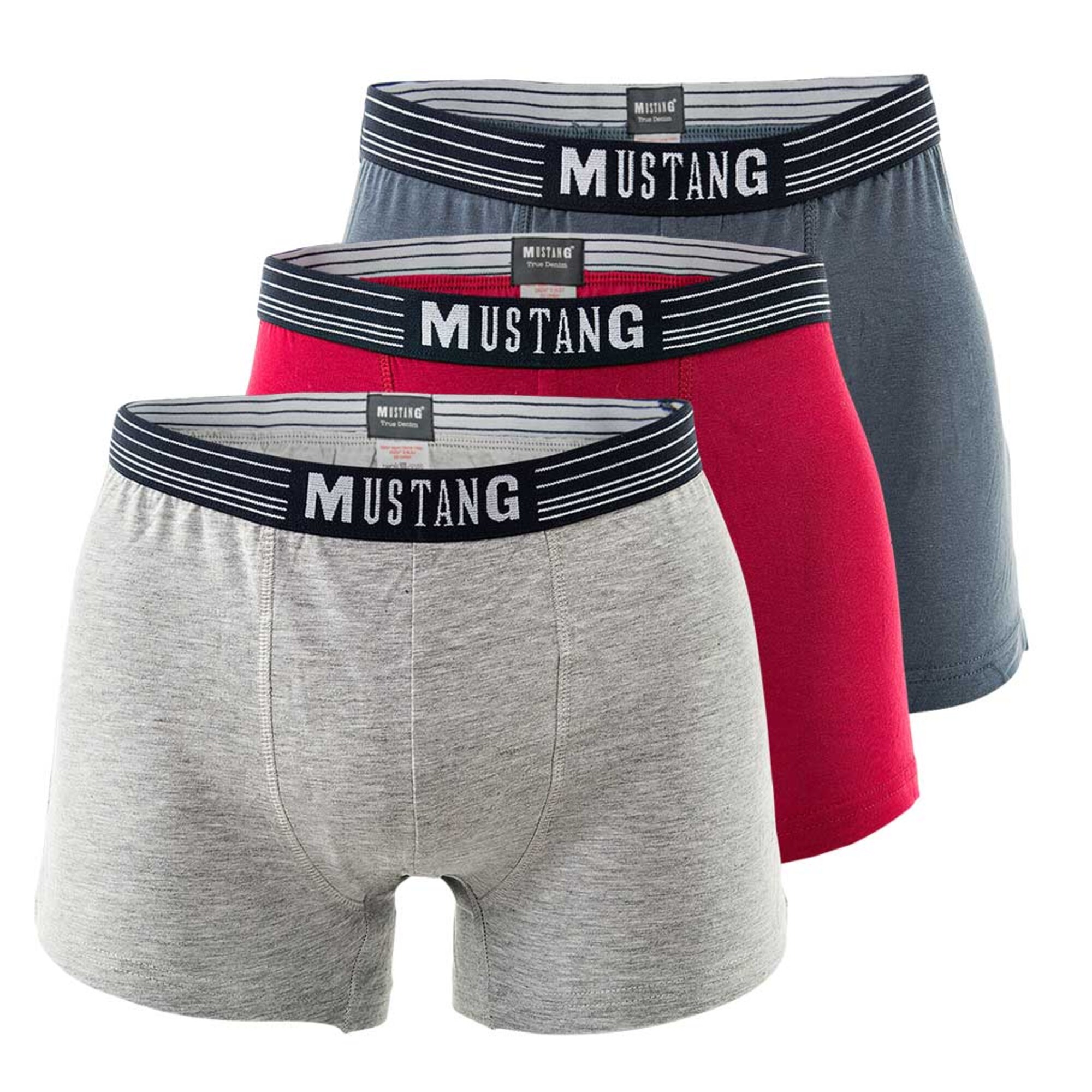 Thumbnail - MUSTANG Trunks
