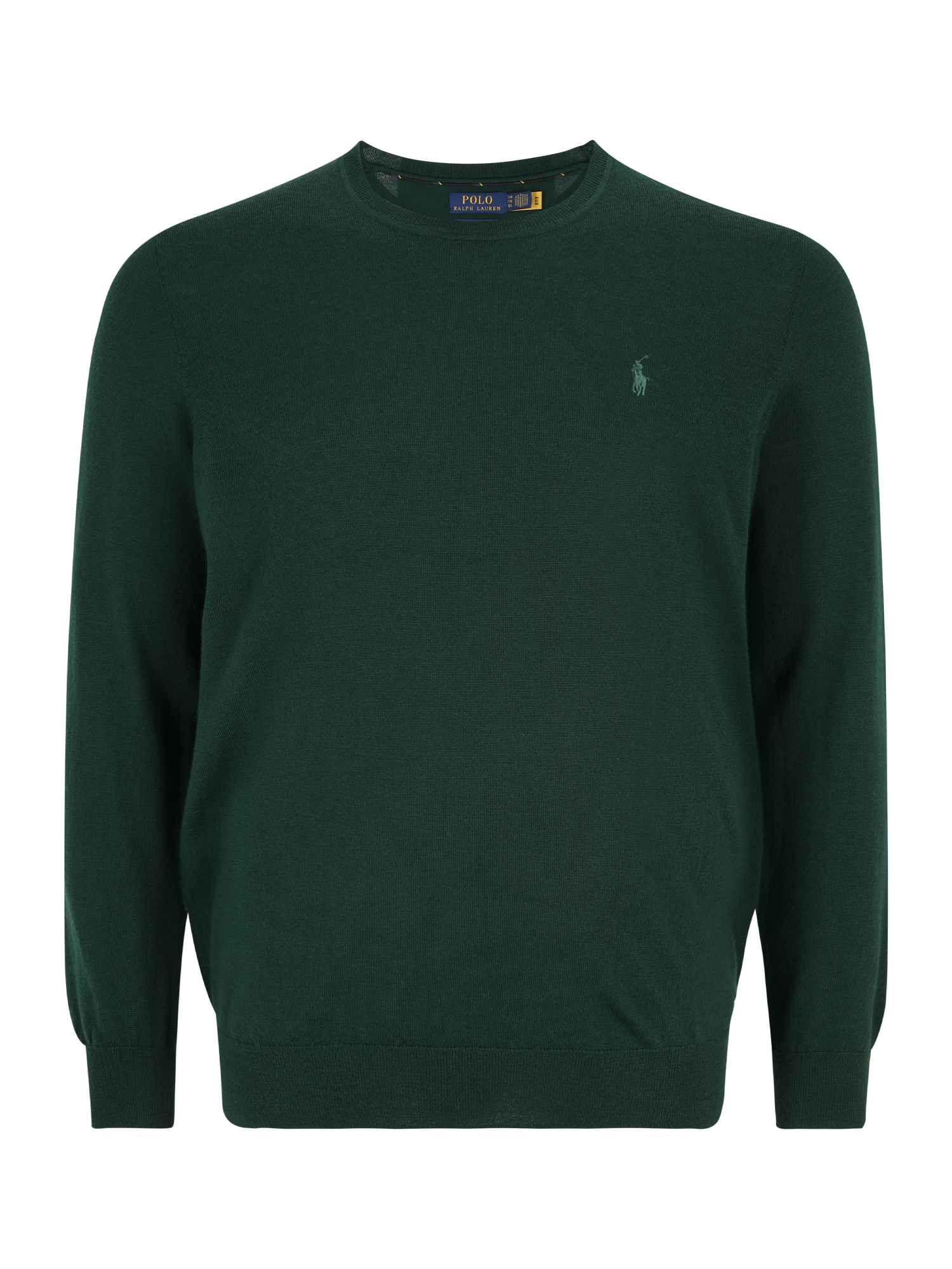 Polo Ralph Lauren Big & Tall Пуловер  пастелно зелено / тъмнозелено